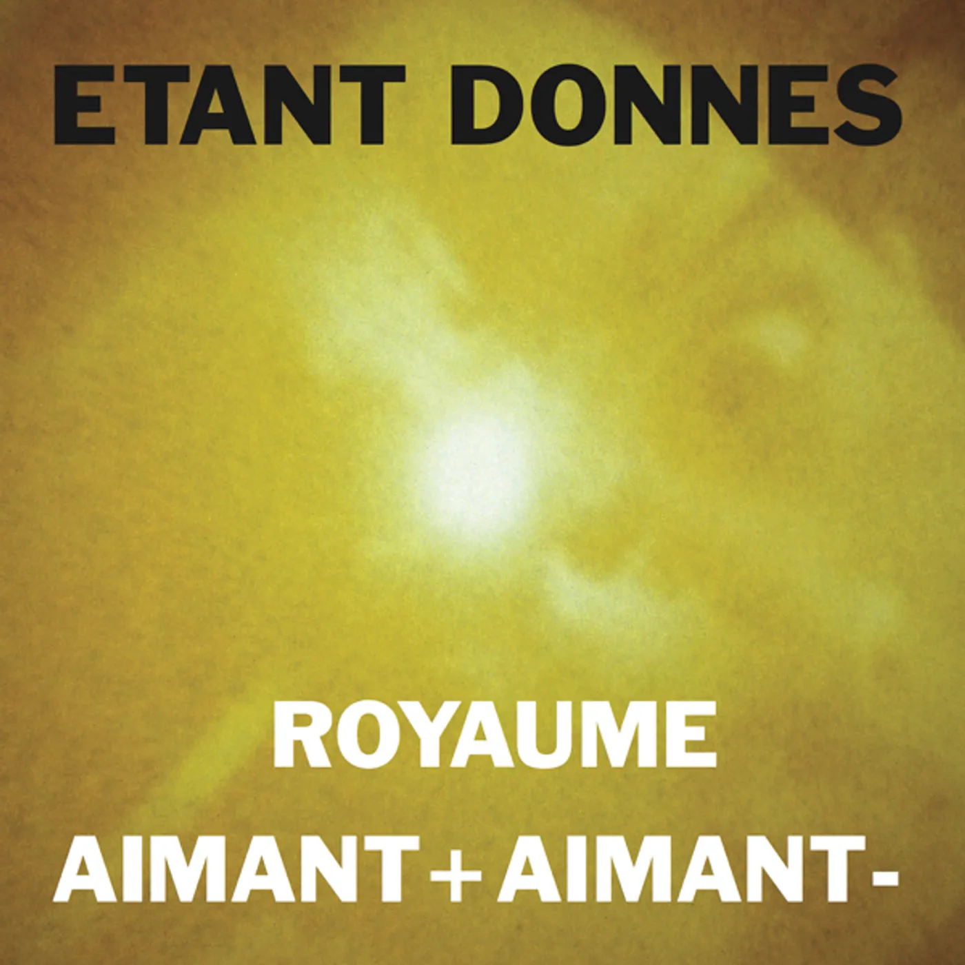 Etant Donnés ROYAUME / AIMANT + AIMANT - Vinyl Record