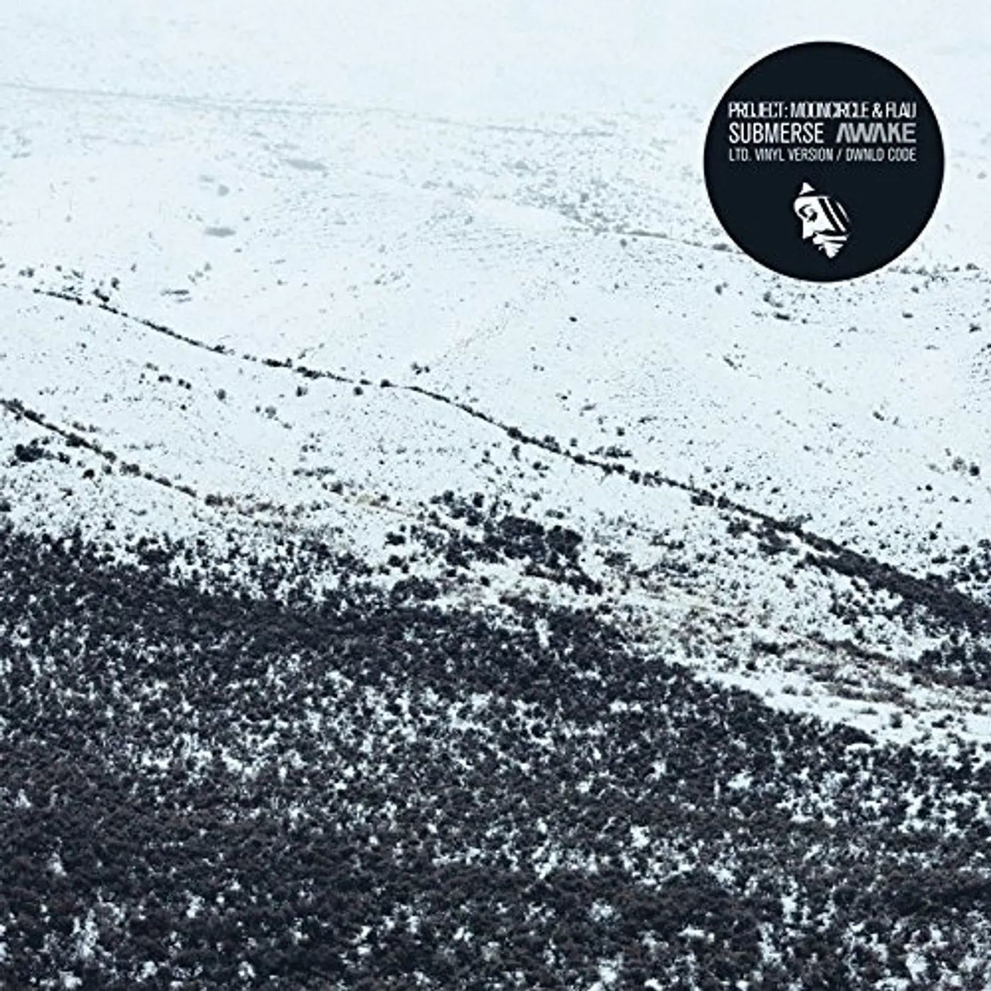 Submerse AWAKE Vinyl Record - UK Release