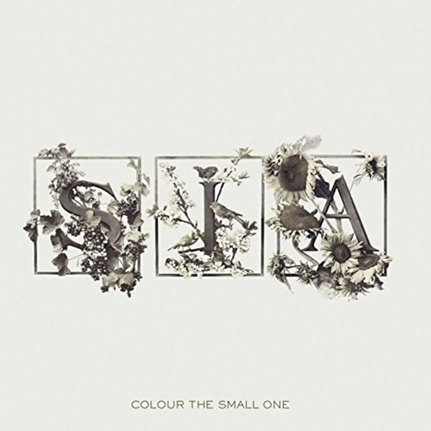 Sia Colour The Small One Vinyl Record