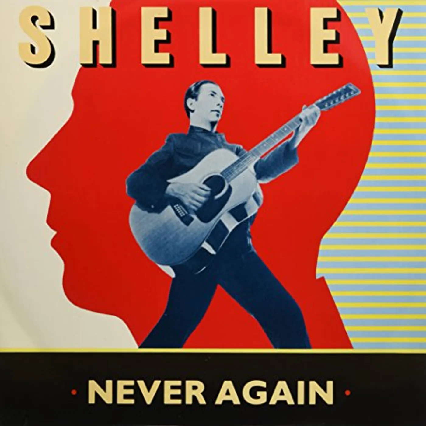 Pete Shelly NEVER AGAIN Vinyl Record