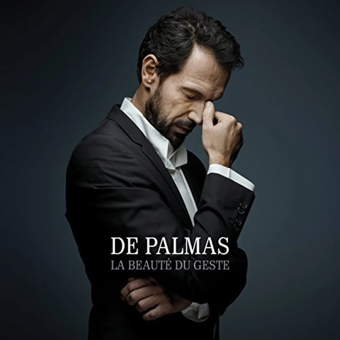 Gérald De Palmas LE BEAUTE DU GESTE CD
