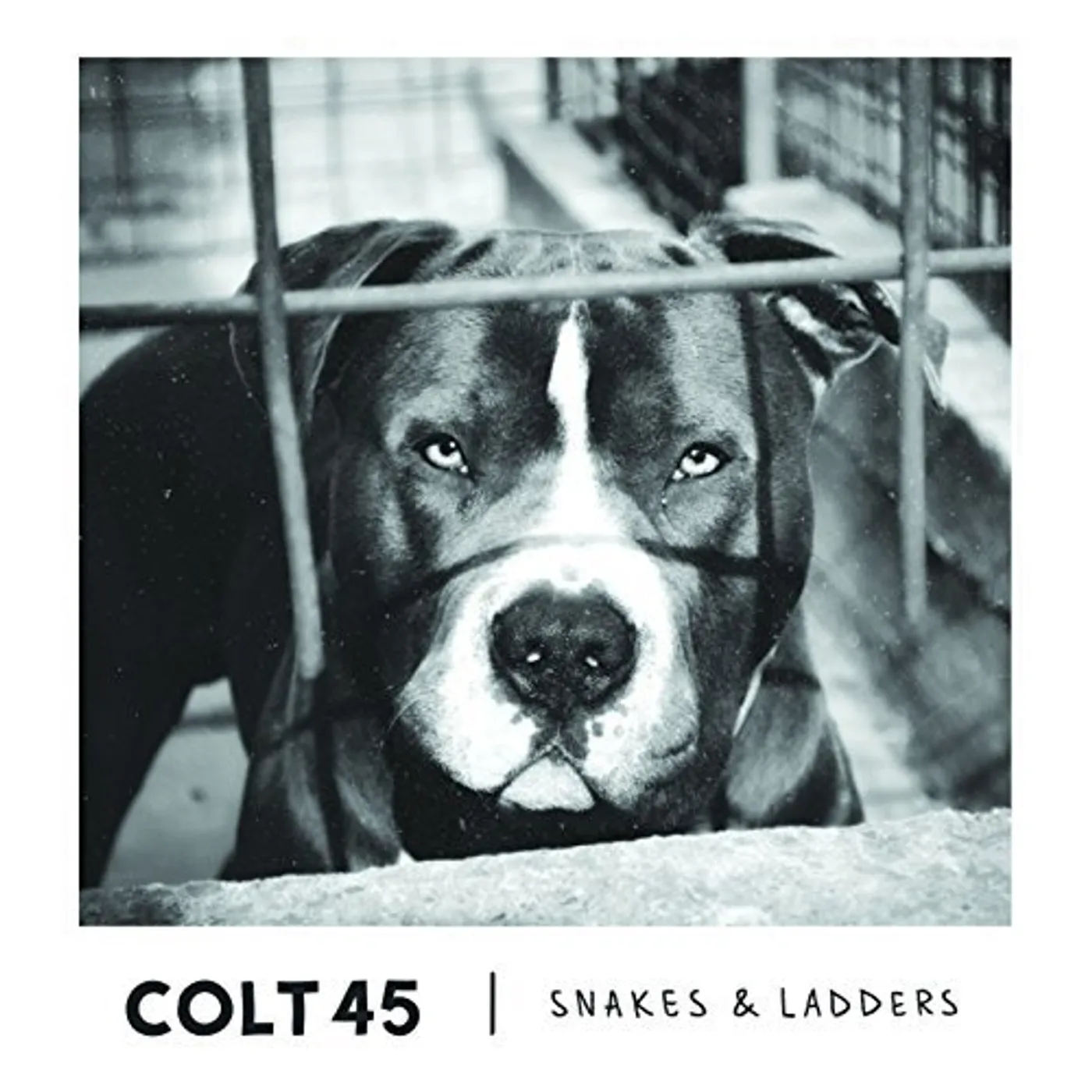 Colt 45 SNAKES & LADDERS CD