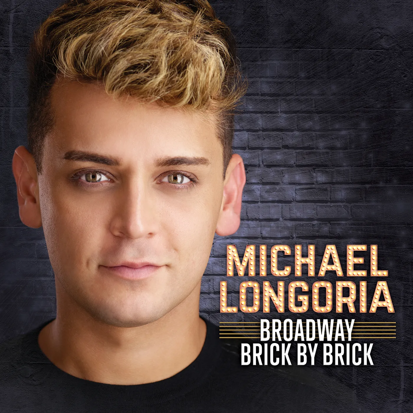 Michael Longoria BROADWAY BRICK BY BRICK CD