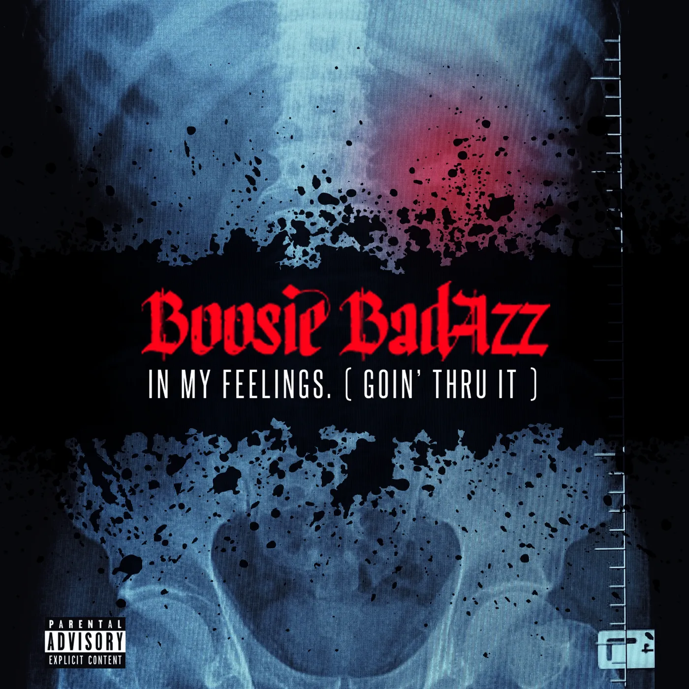 Boosie Badazz IN MY FEELINGS (GOIN' THRU IT) CD