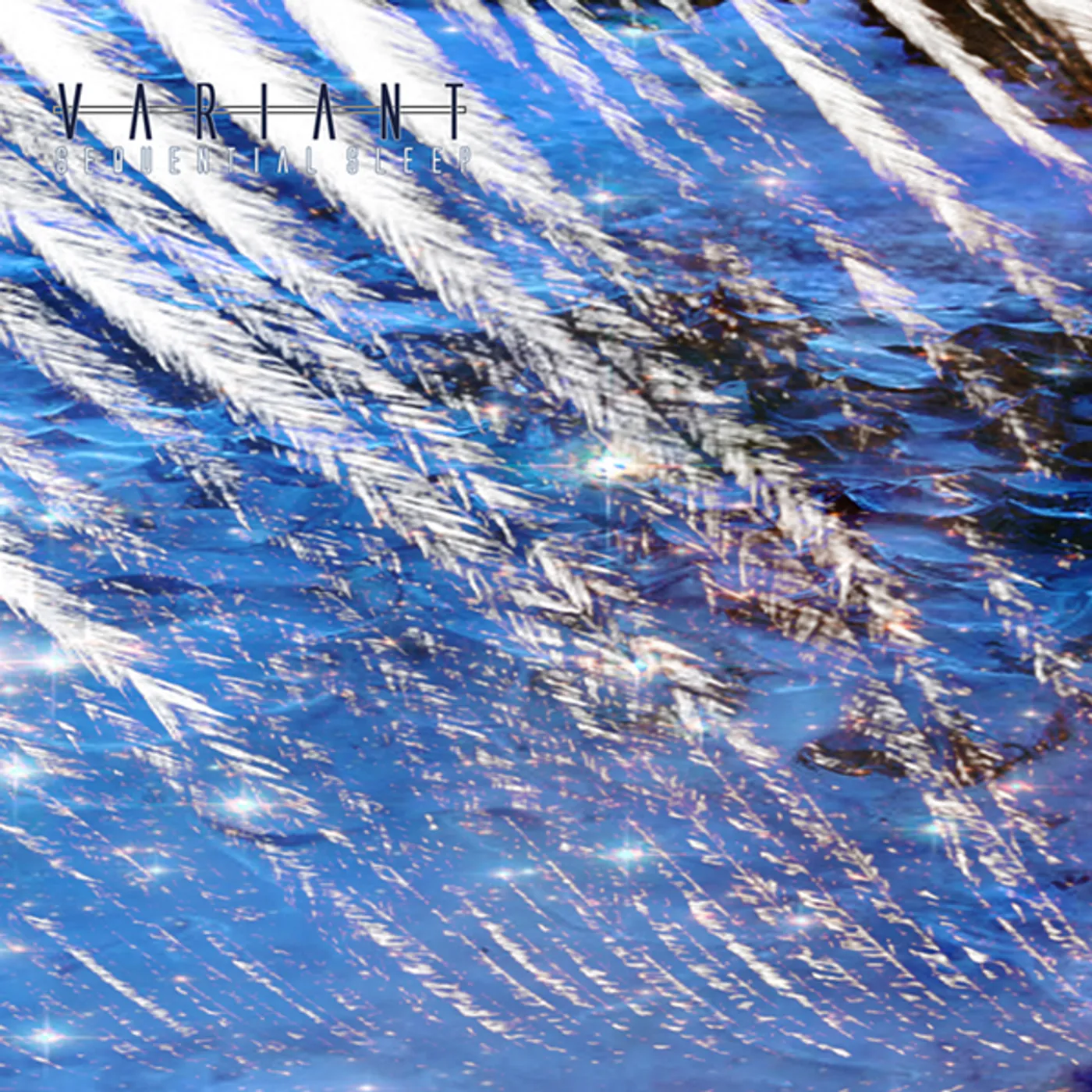 Variant SEQUENTIAL SLEEP 1 CD