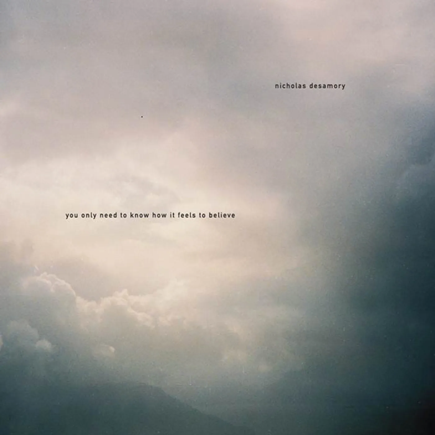 Nicholas Desamory YOU ONLY NEED TO KNOW HOW IT FEELS TO BELIEVE Vinyl Record