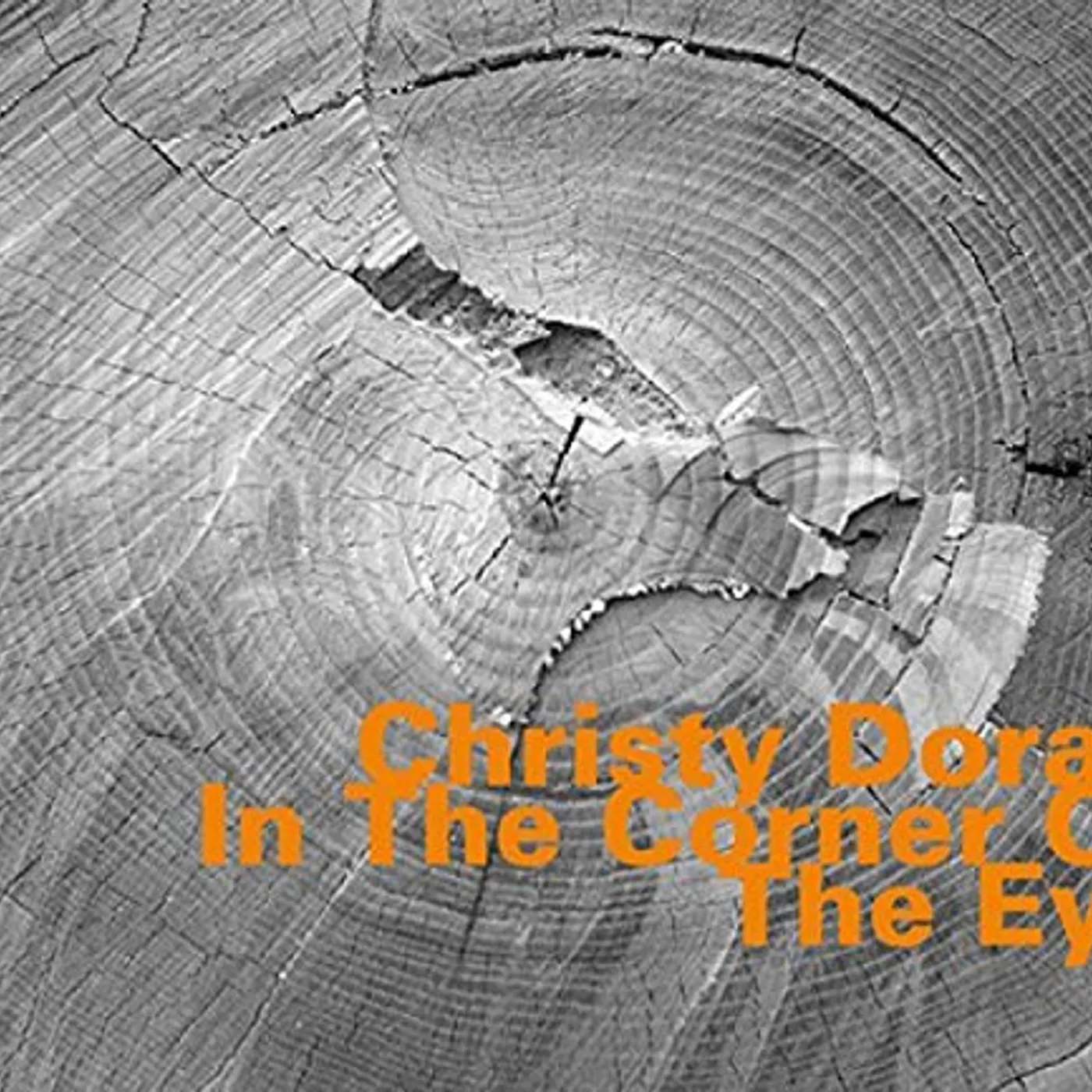 Christy Doran IN THE CORNER OF THE EYE CD