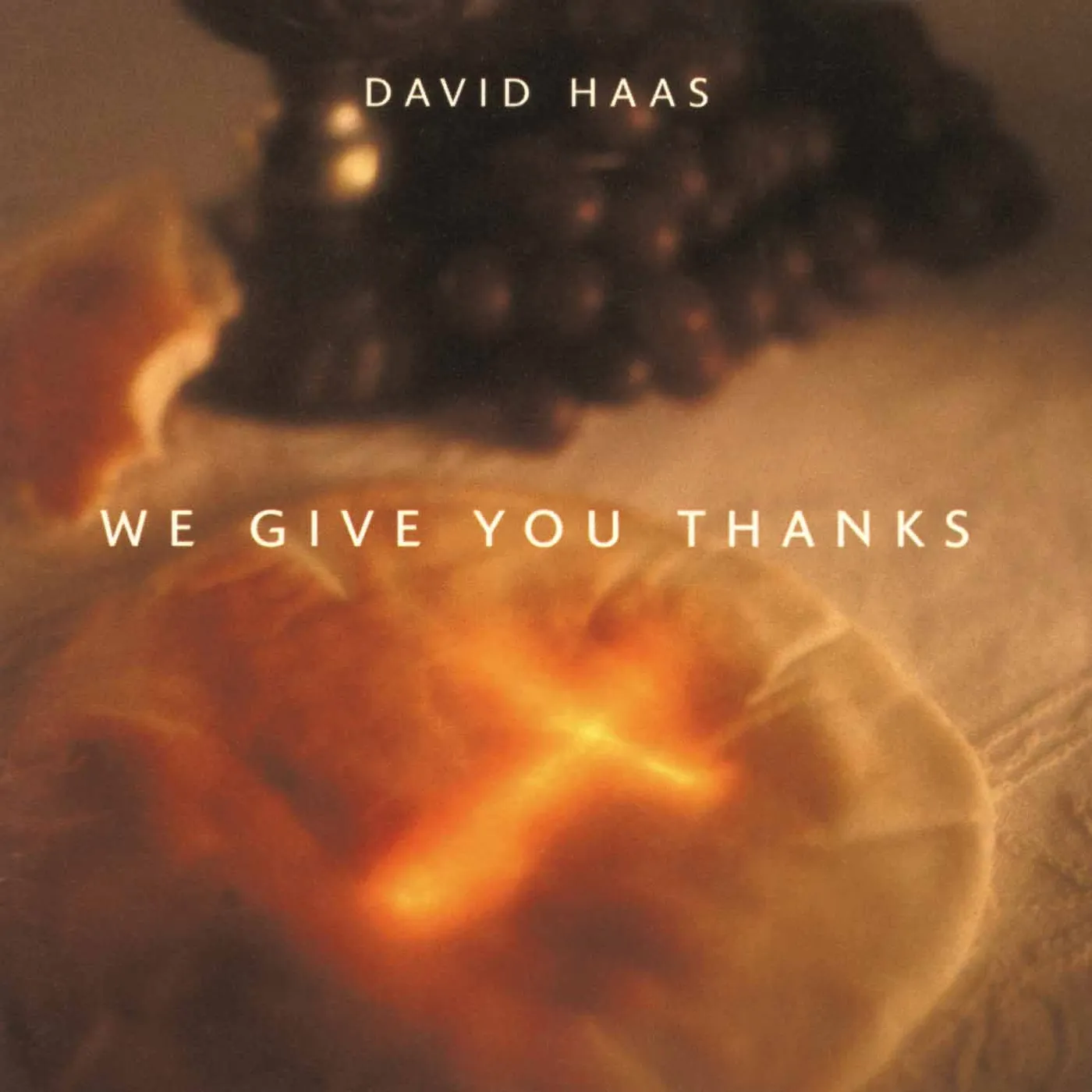 David Haas WE GIVE YOU THANKS CD