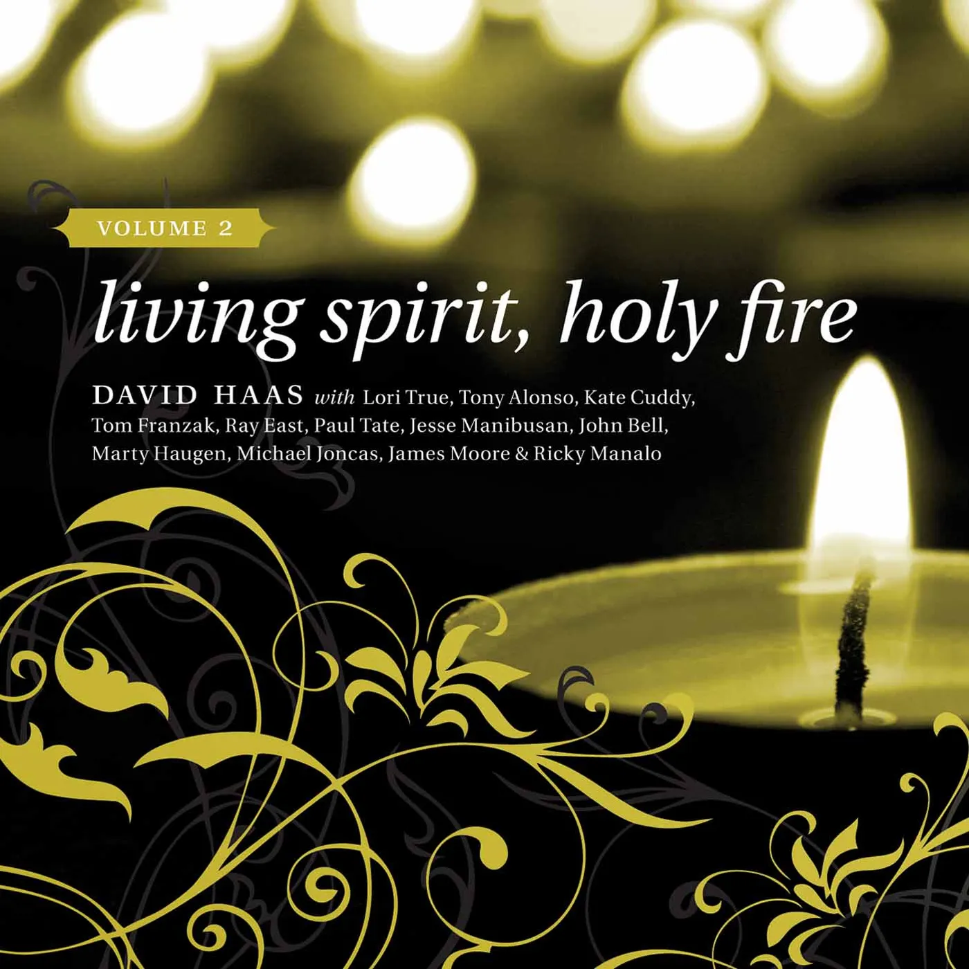 David Haas LIVING SPIRIT HOLY FIRE 2 CD