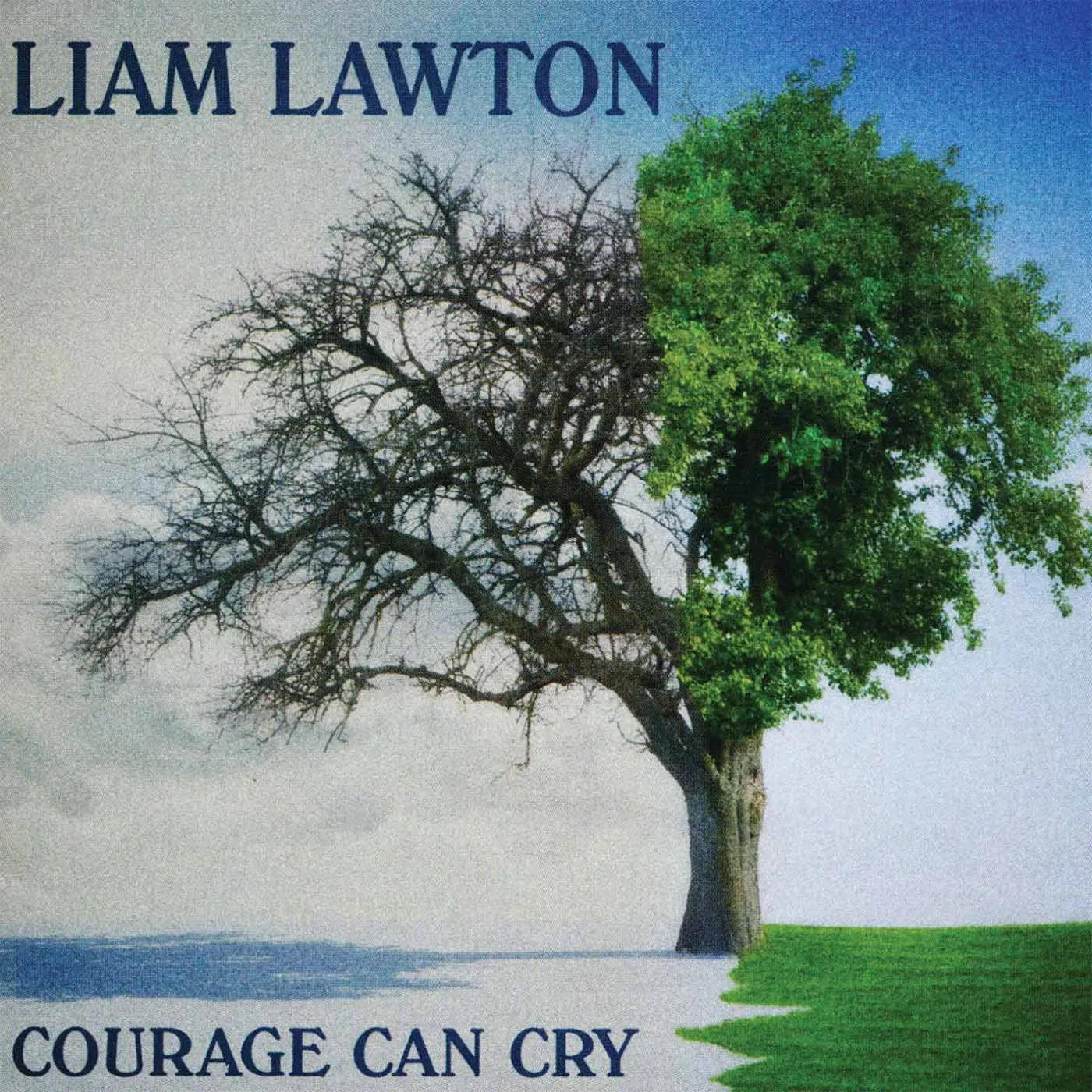 Liam Lawton COURAGE CAN CRY CD