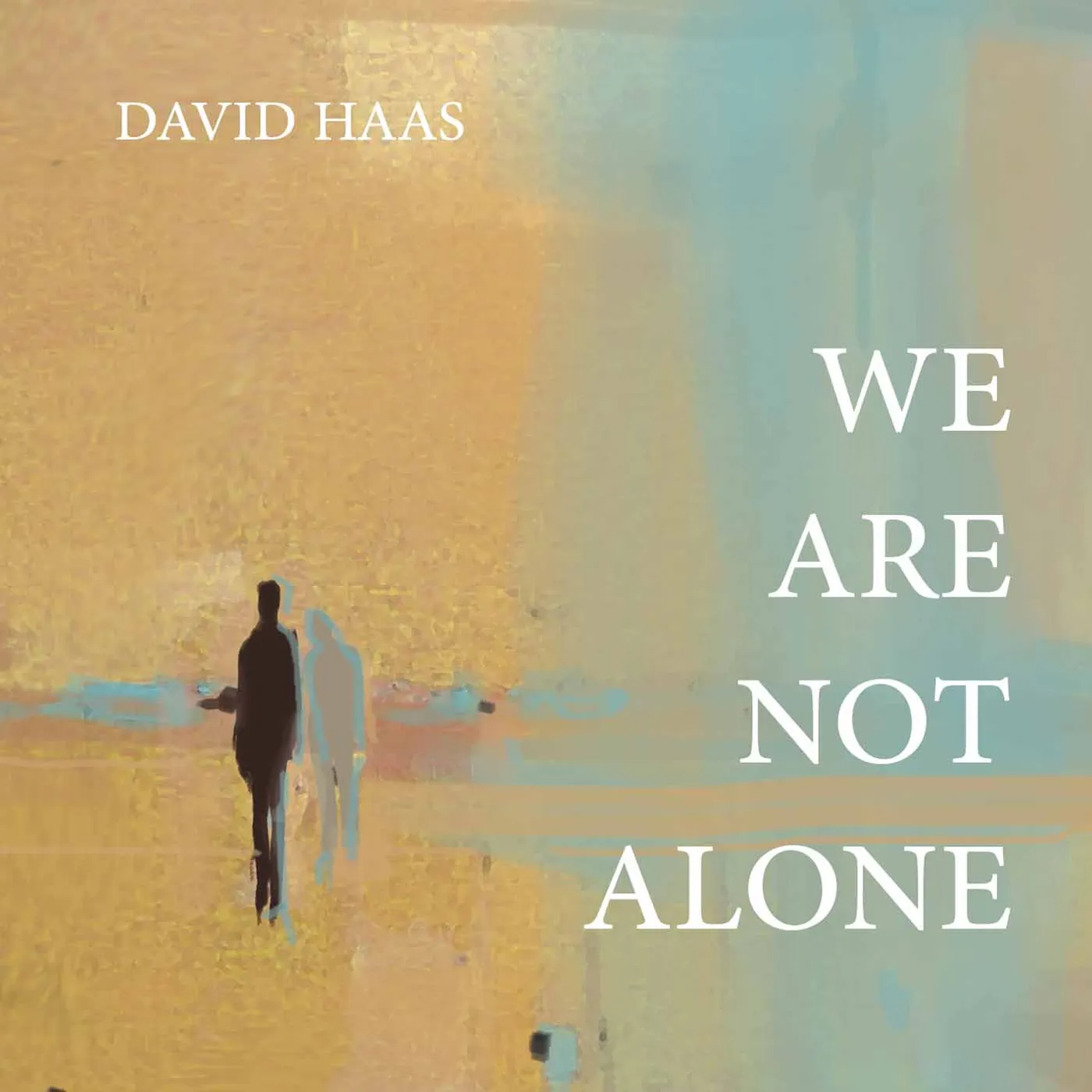 David Haas WE ARE NOT ALONE CD
