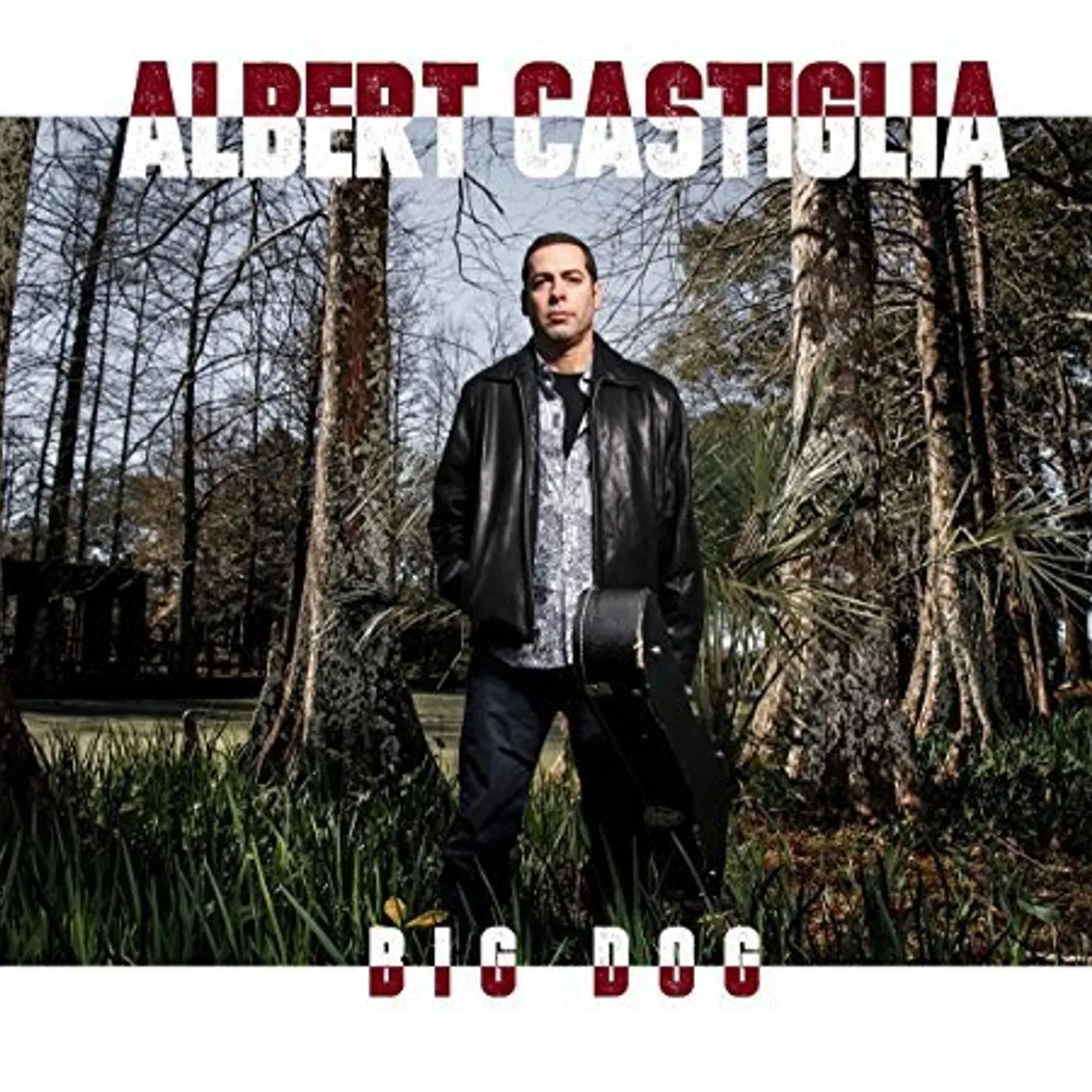 Albert Castiglia BIG DOG CD