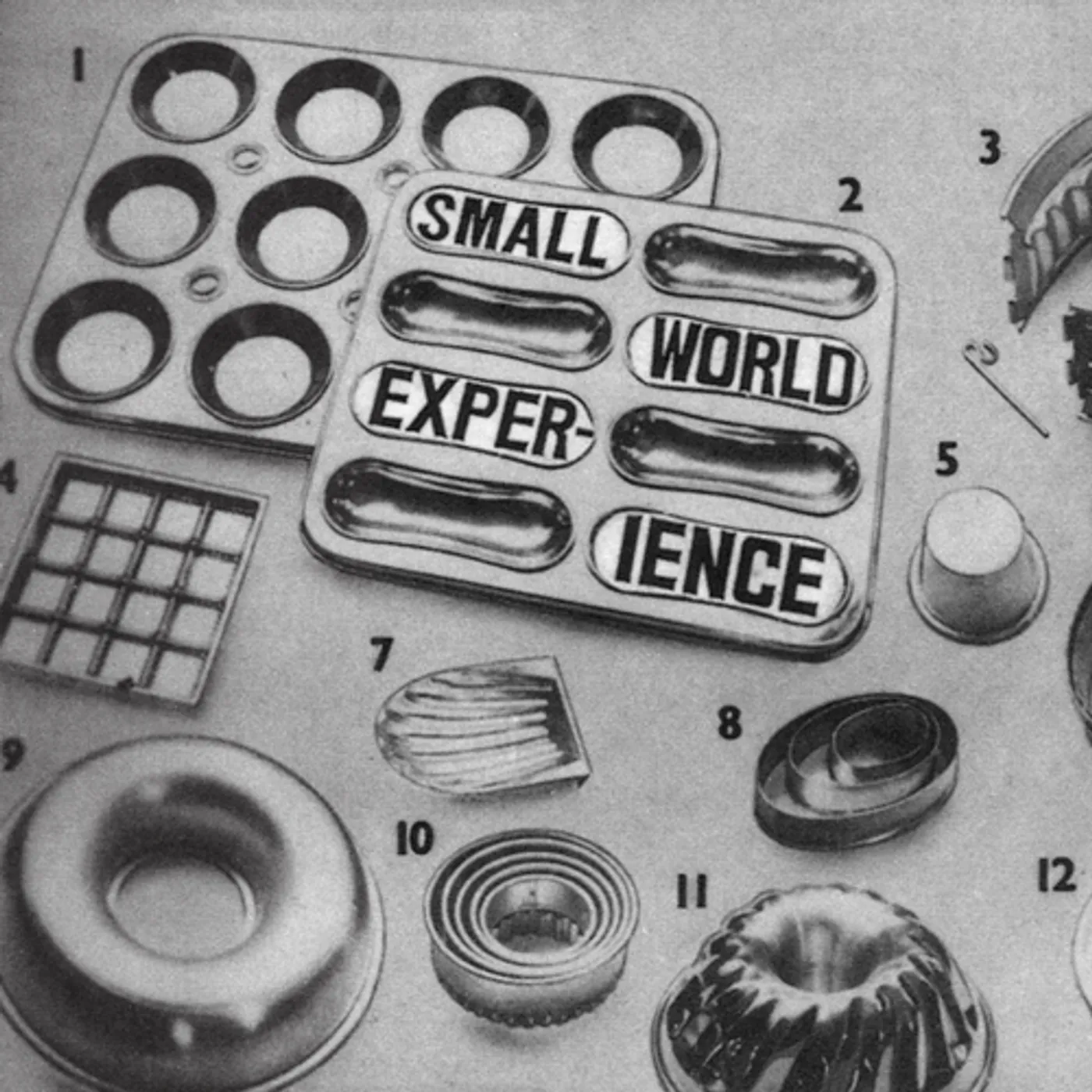 Small World Experience Shelf-Life Vinyl Record