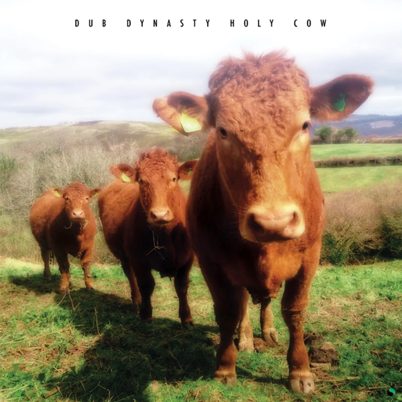 Dub Dynasty Holy Cow Vinyl Record