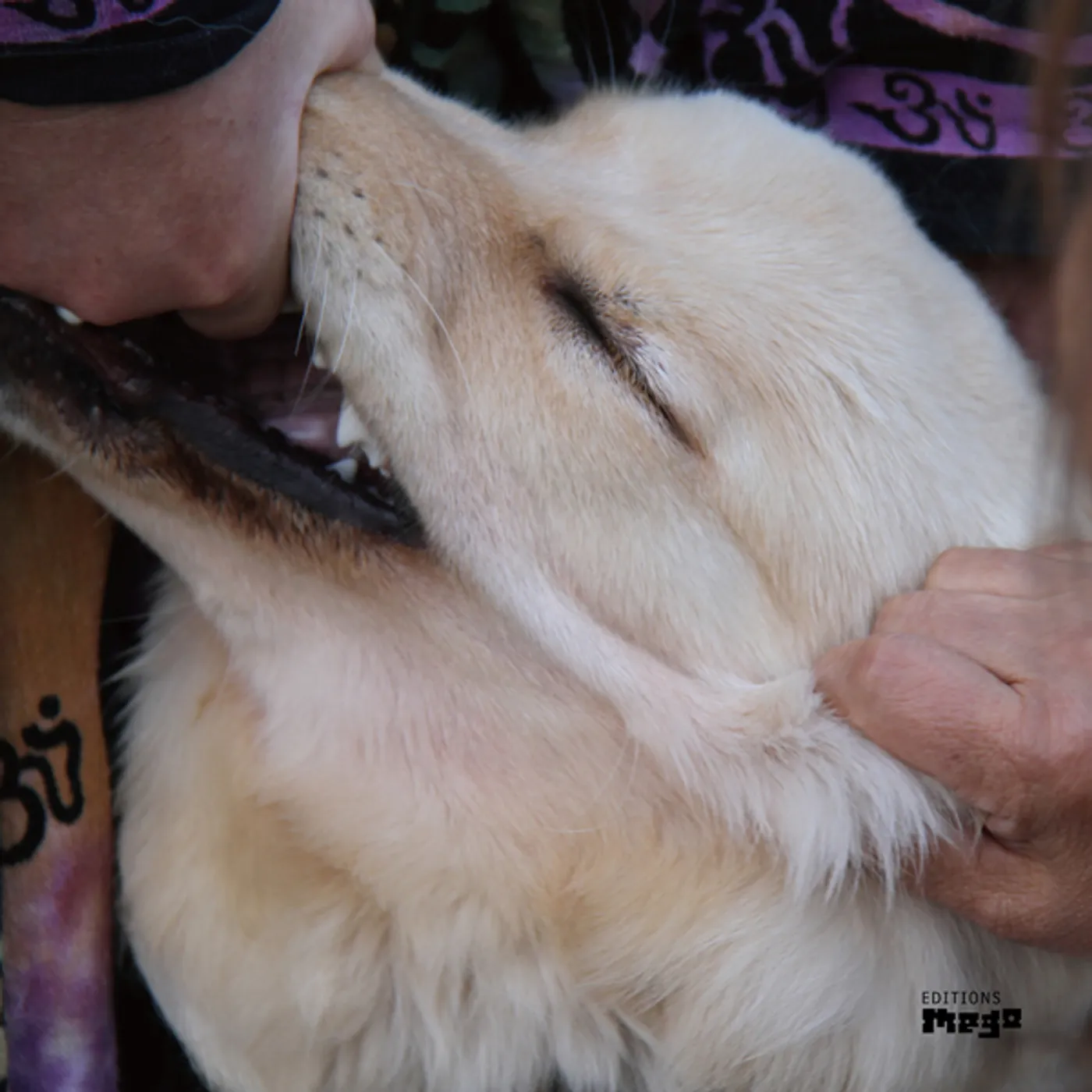 Christian Fennesz IT'S HARD FOR ME TO SAY I'M SORRY Vinyl Record