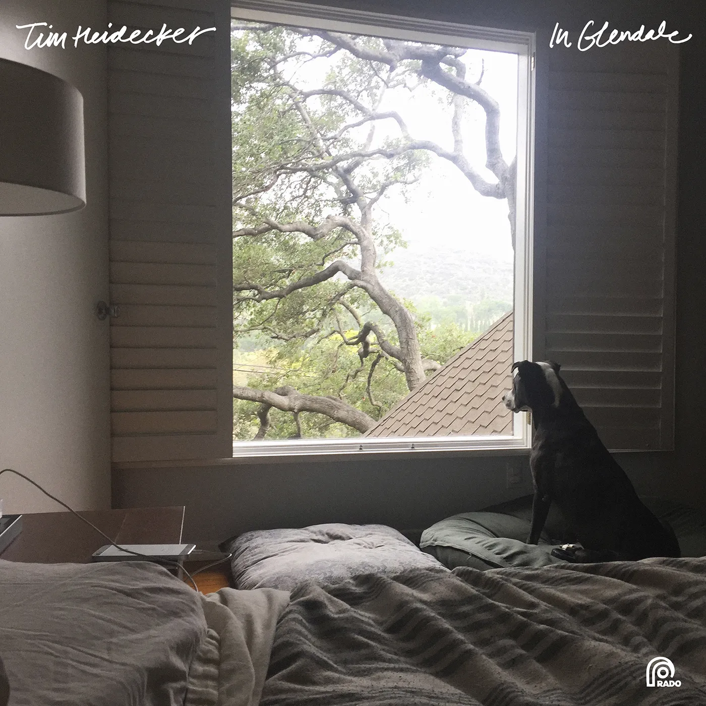 Tim Heidecker IN GLENDALE CD
