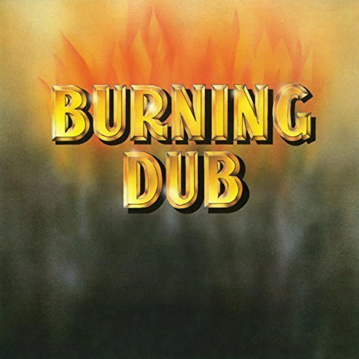 The Revolutionaries Burning Dub Vinyl Record