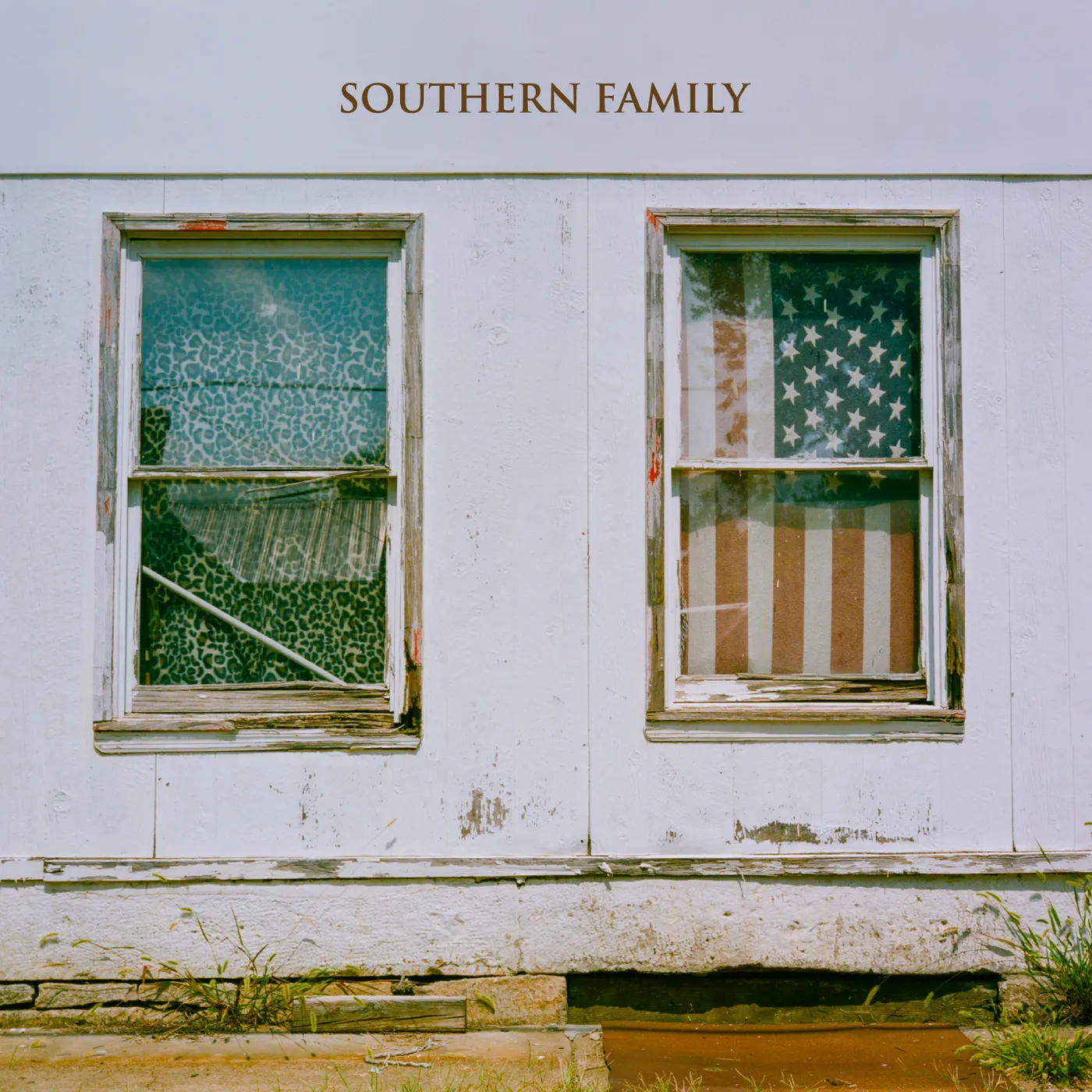 SOUTHERN FAMILY / VARIOUS (BONUS CD) SOUTHERN FAMILY / VARIOUS Vinyl Record