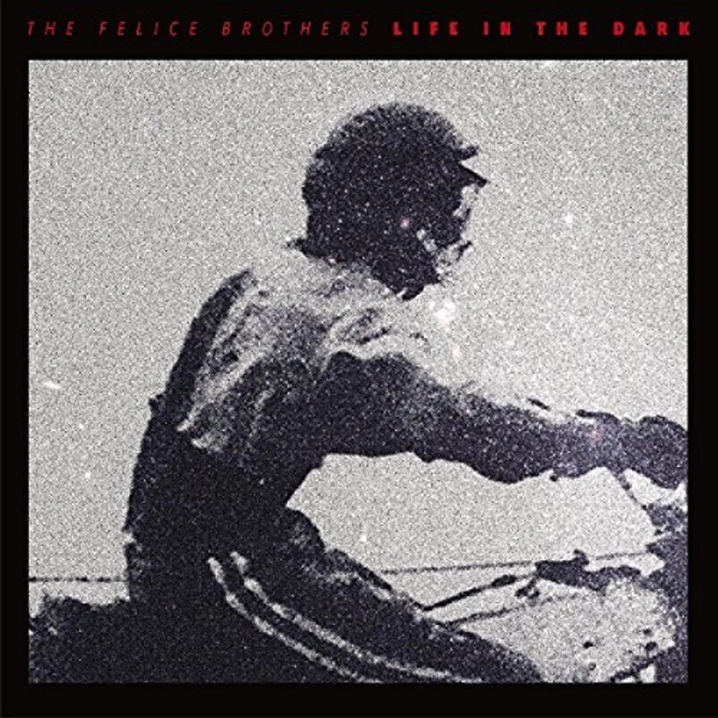 The Felice Brothers Life in the Dark Vinyl Record