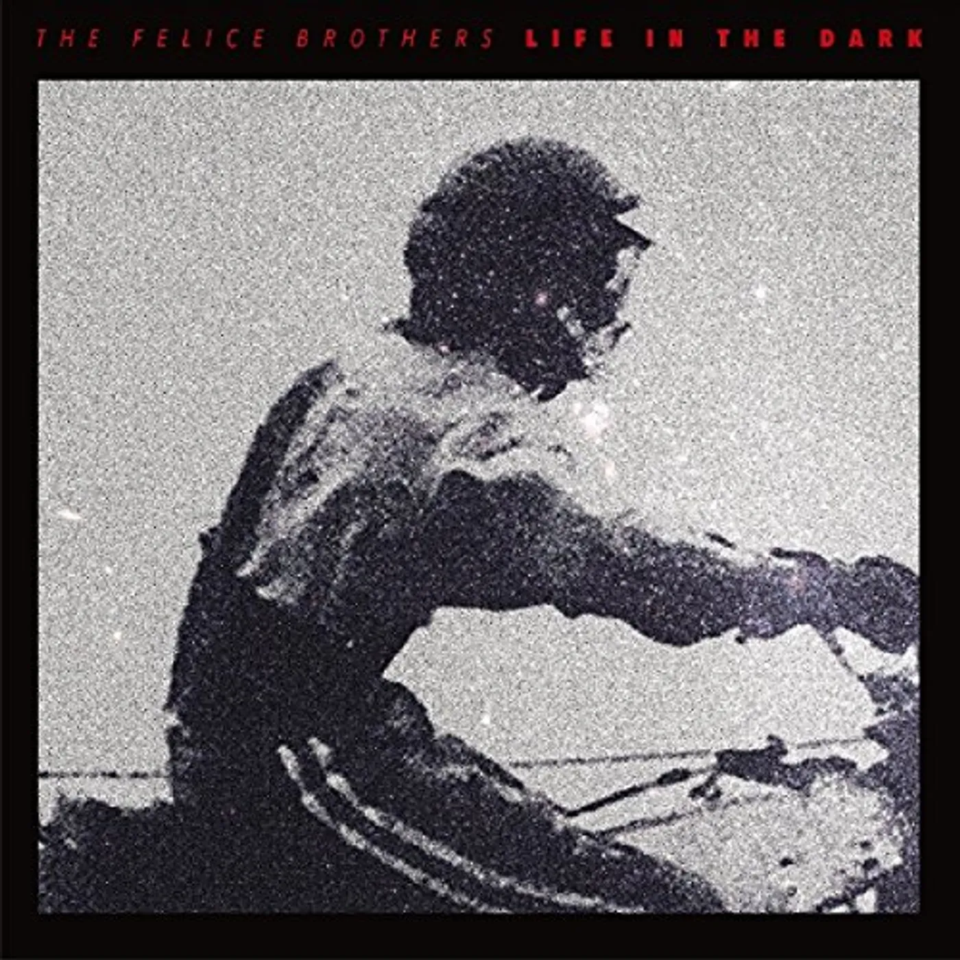 The Felice Brothers LIFE IN THE DARK CD