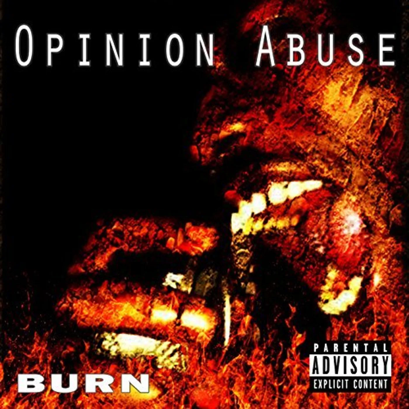 Burn OPINION ABUSE CD