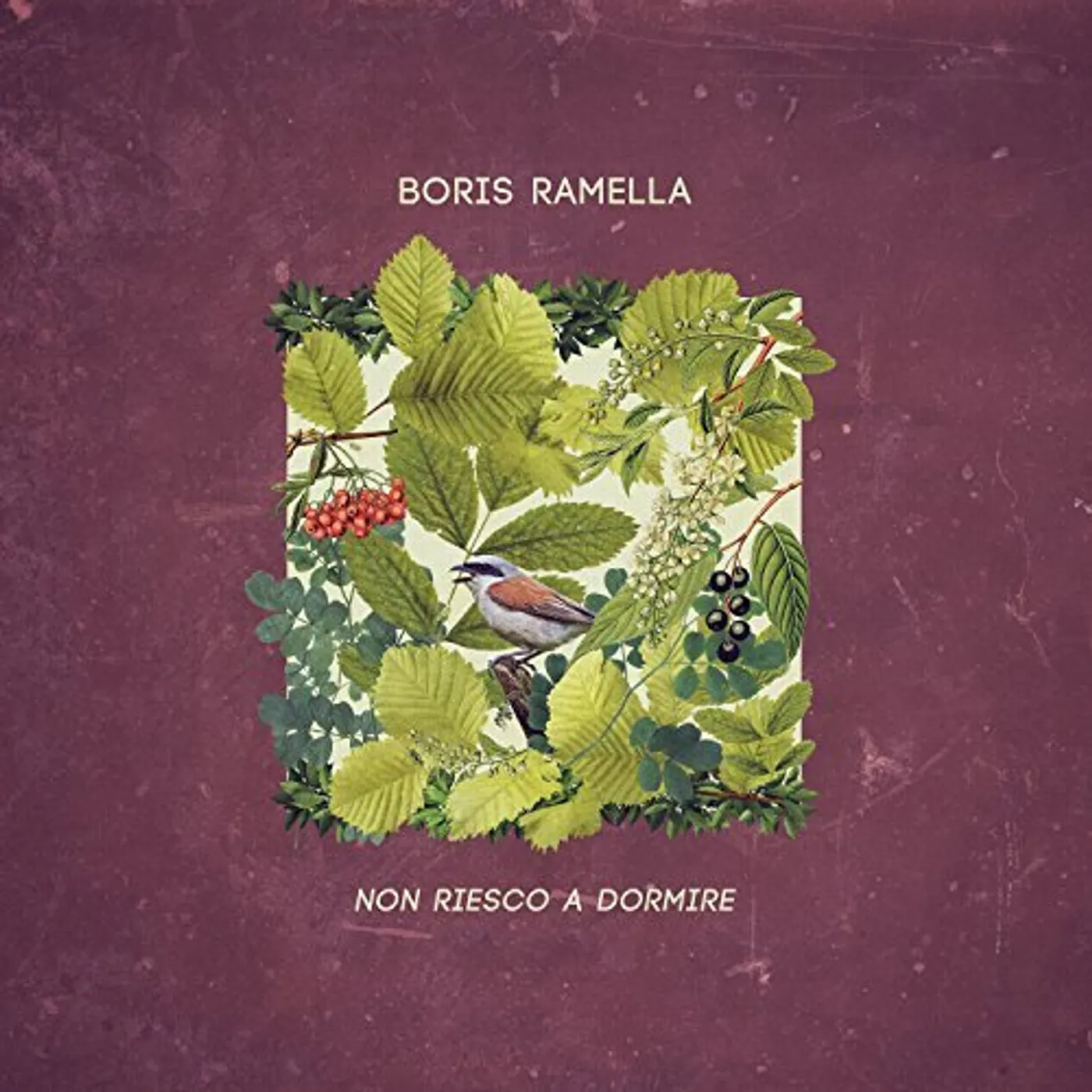 Boris Ramella NON RIESCO A DORMIRE CD