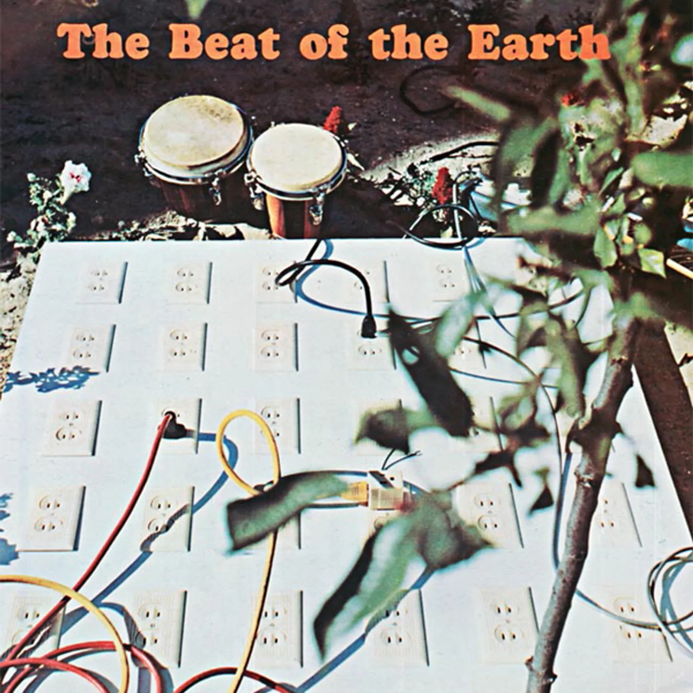 The Beat Of The Earth CD