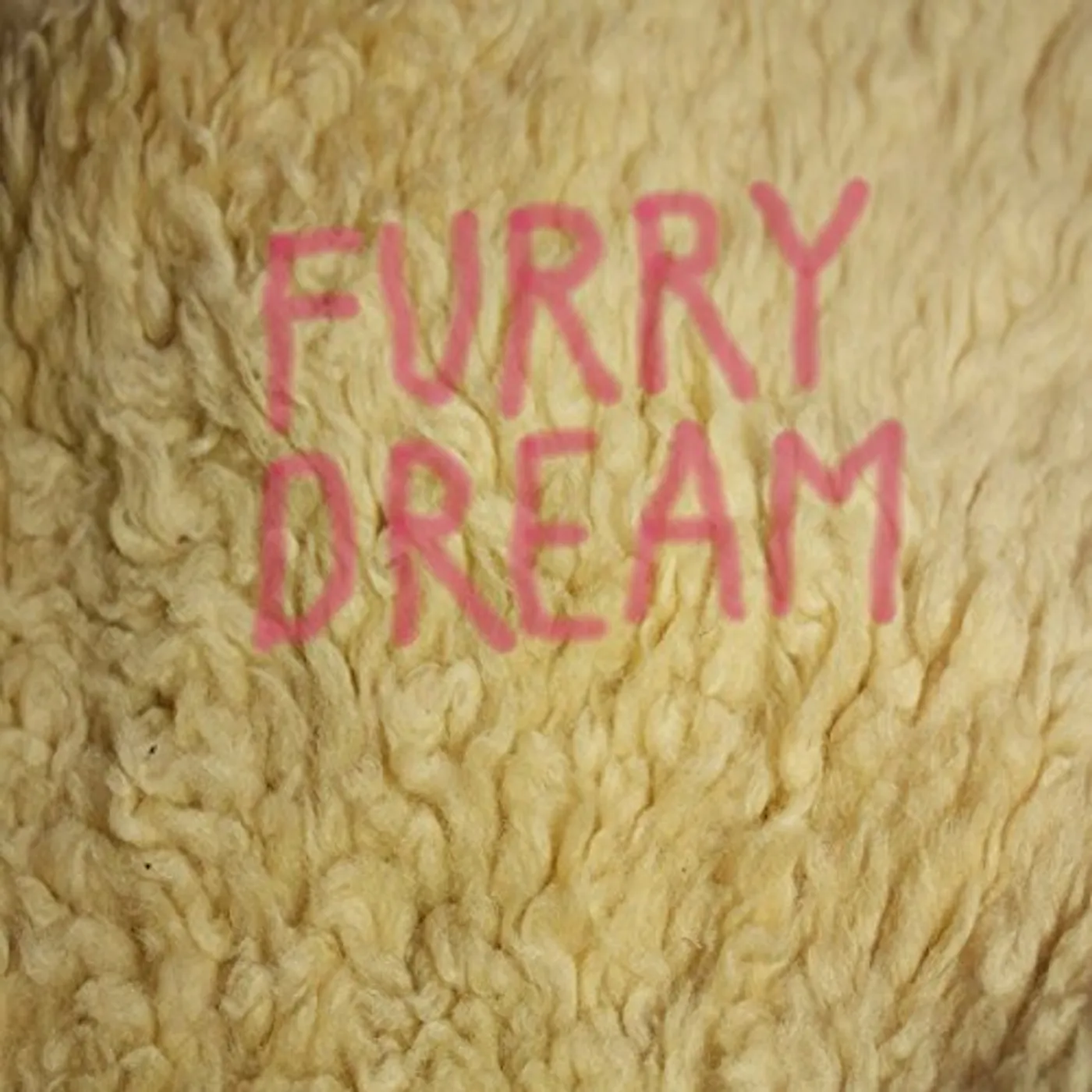 Gurr Furry Dream Vinyl Record