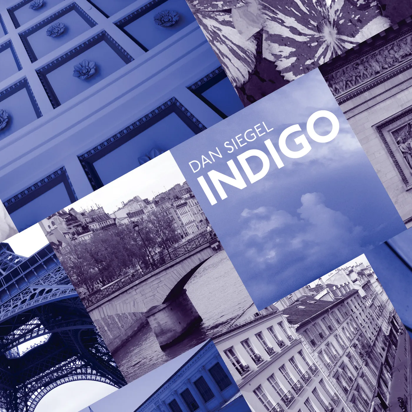 Dan Siegel INDIGO CD