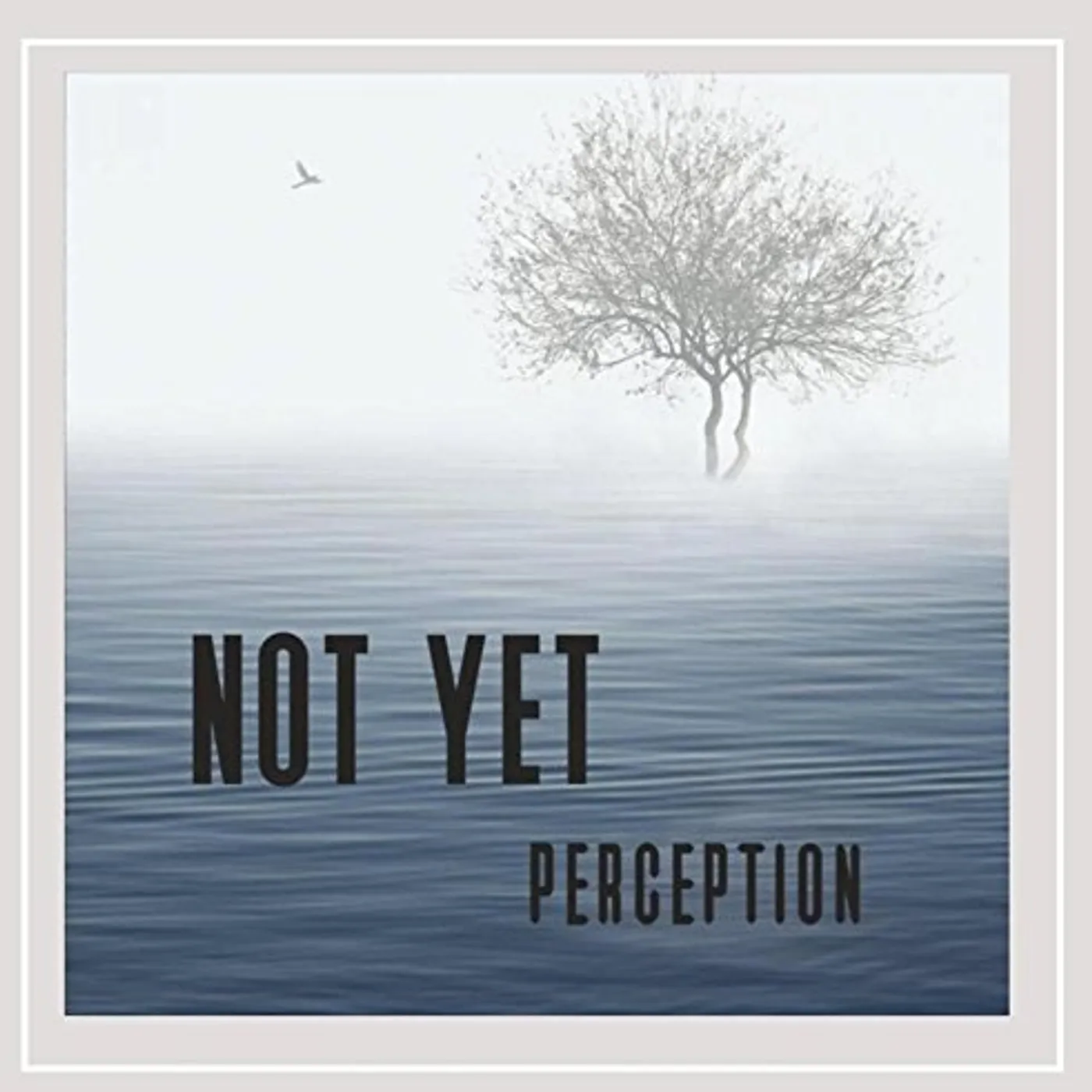 Not Yet! PERCEPTION CD
