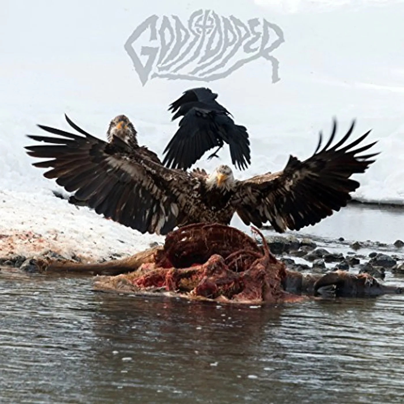 Godstopper Who Tries Anymore Vinyl Record