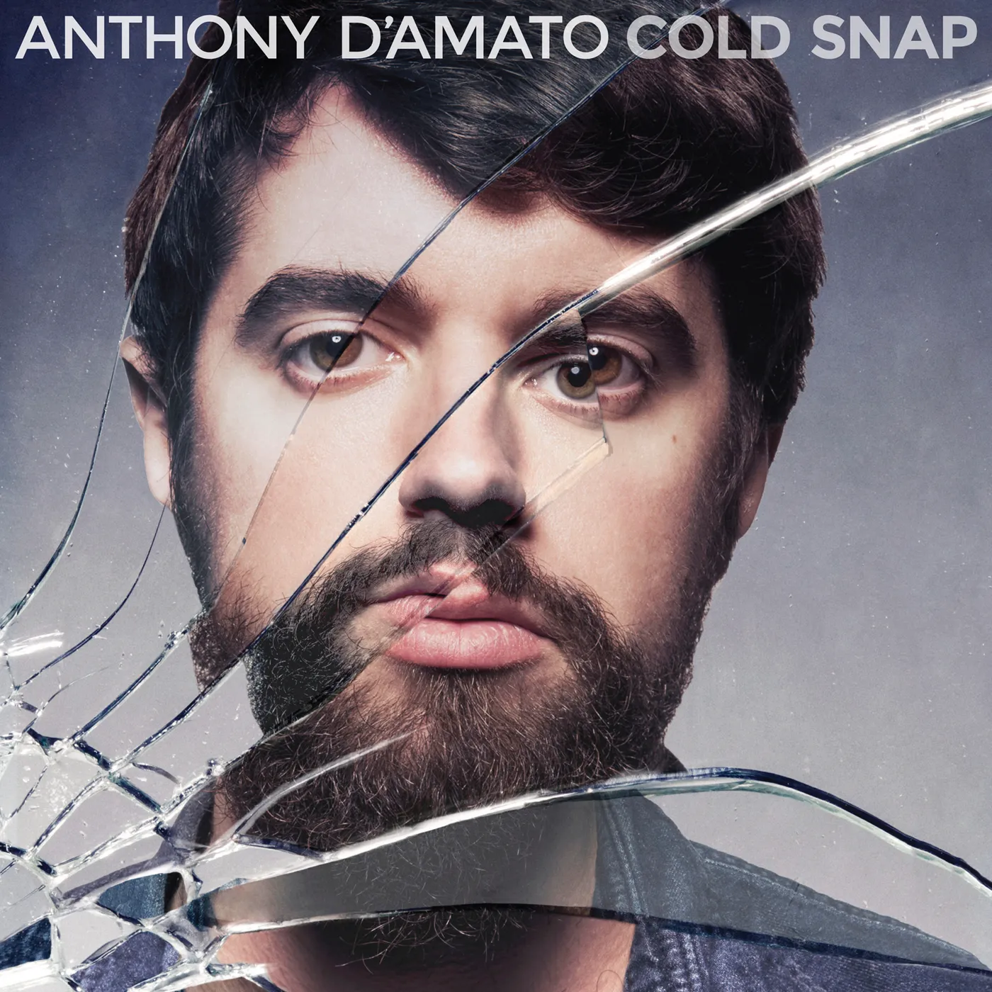 Anthony D'Amato Cold Snap Vinyl Record