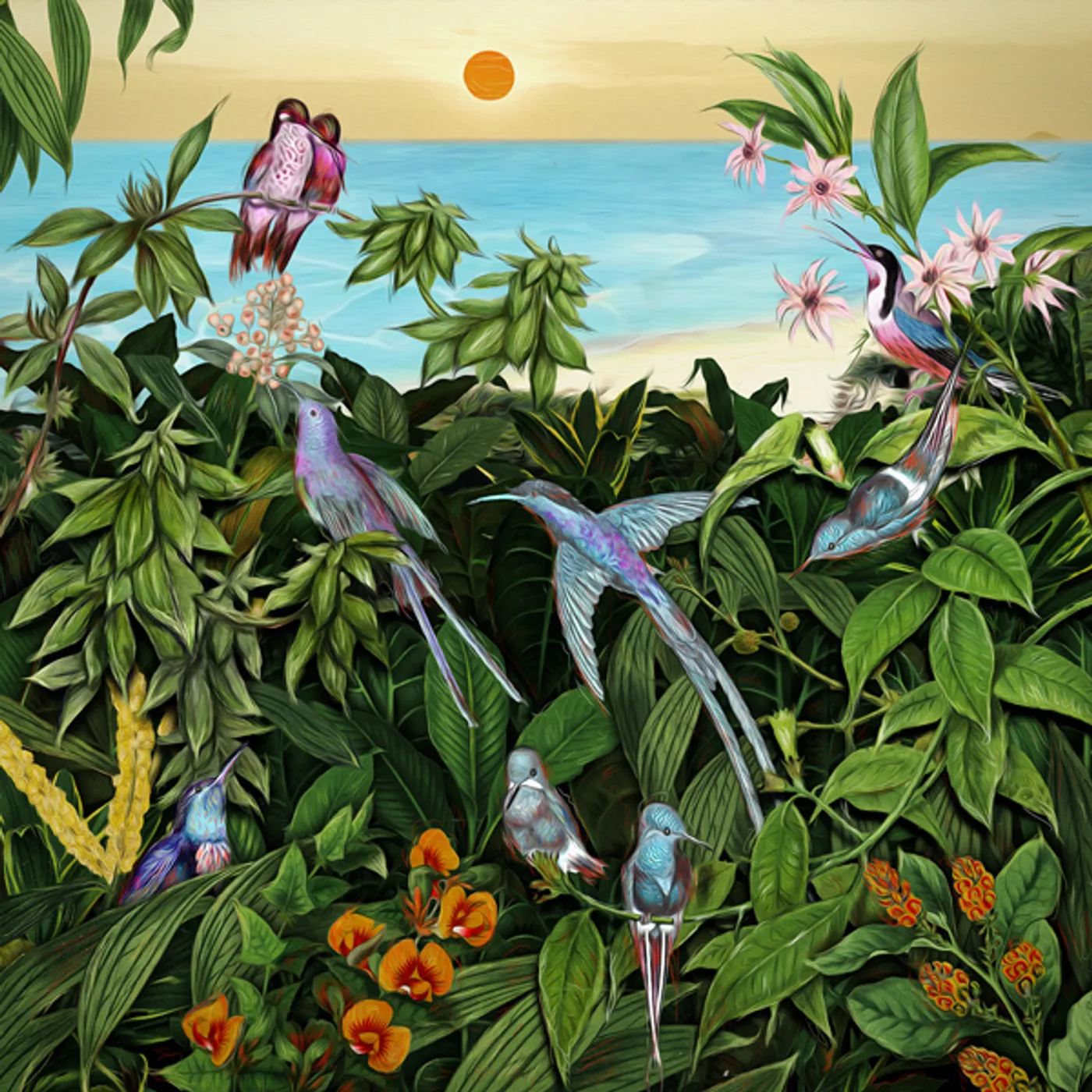Mark Barrott SKETCHES FROM AN ISLAND 2 CD