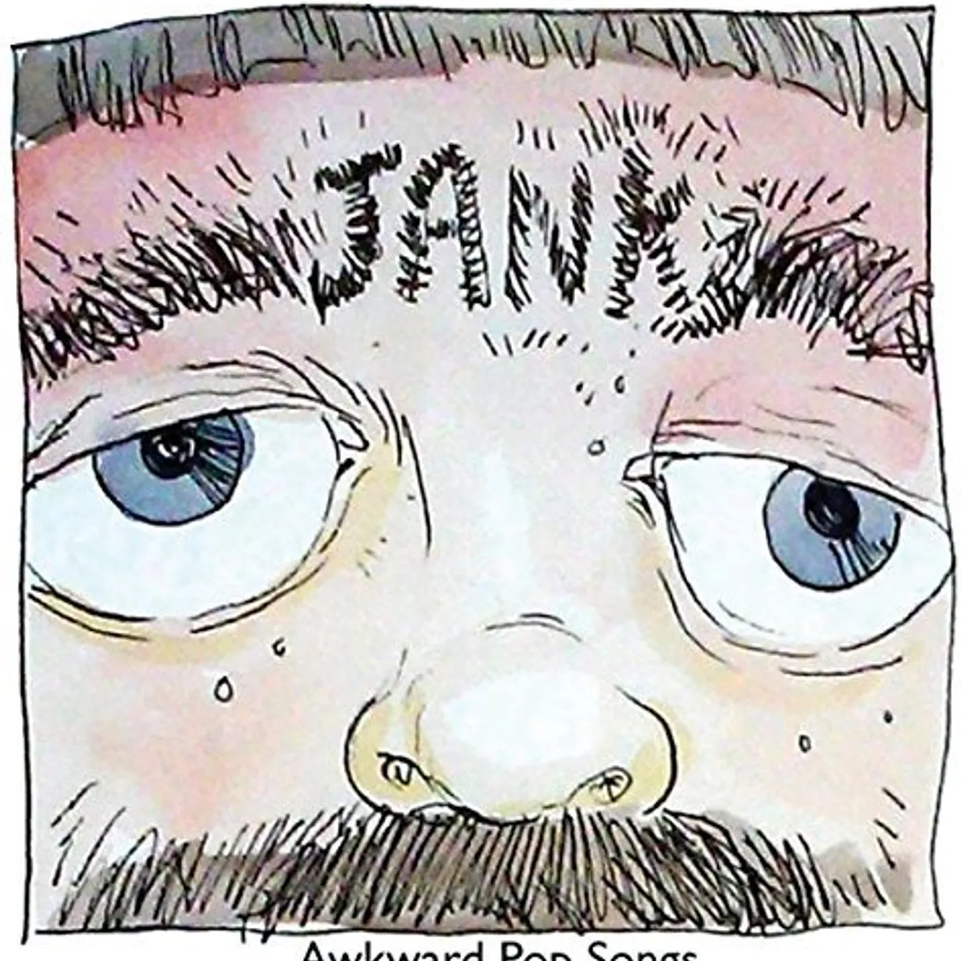 Jank Awkward Pop Songs Vinyl Record