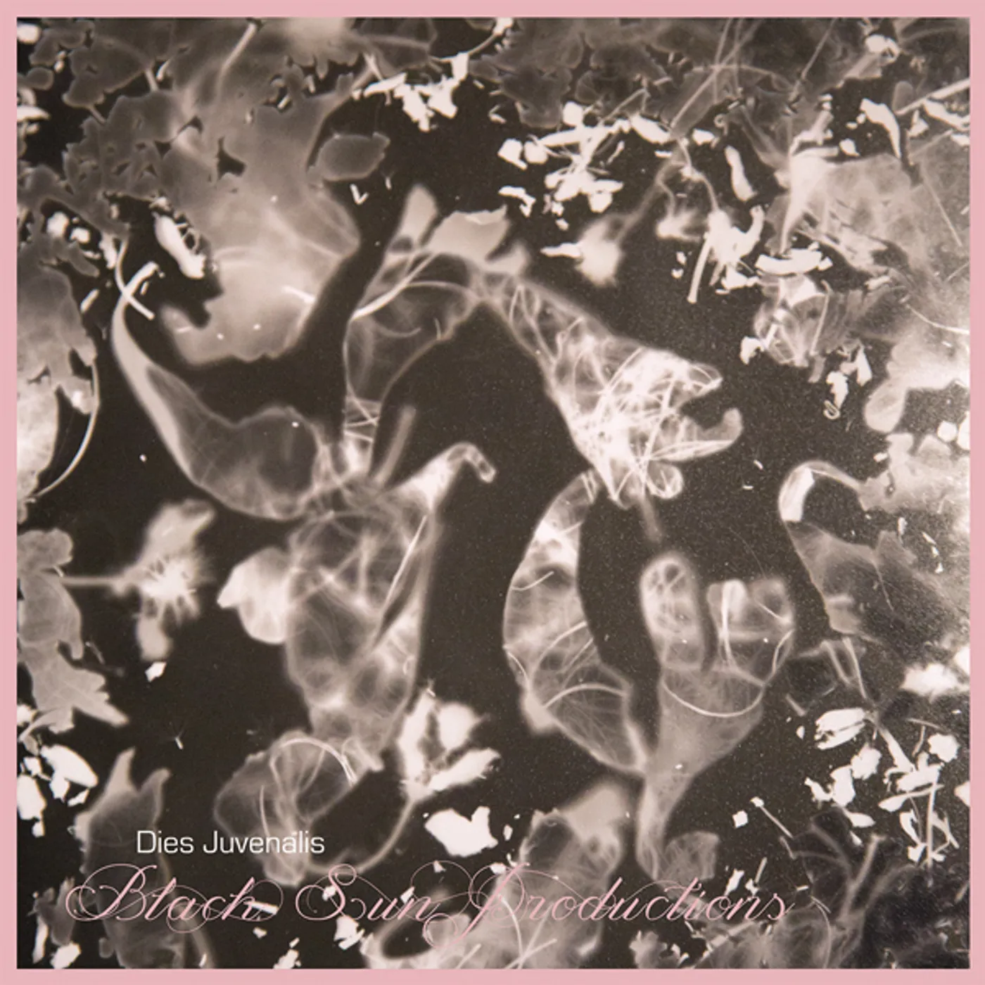 Black Sun Productions Dies Juvenalis Vinyl Record