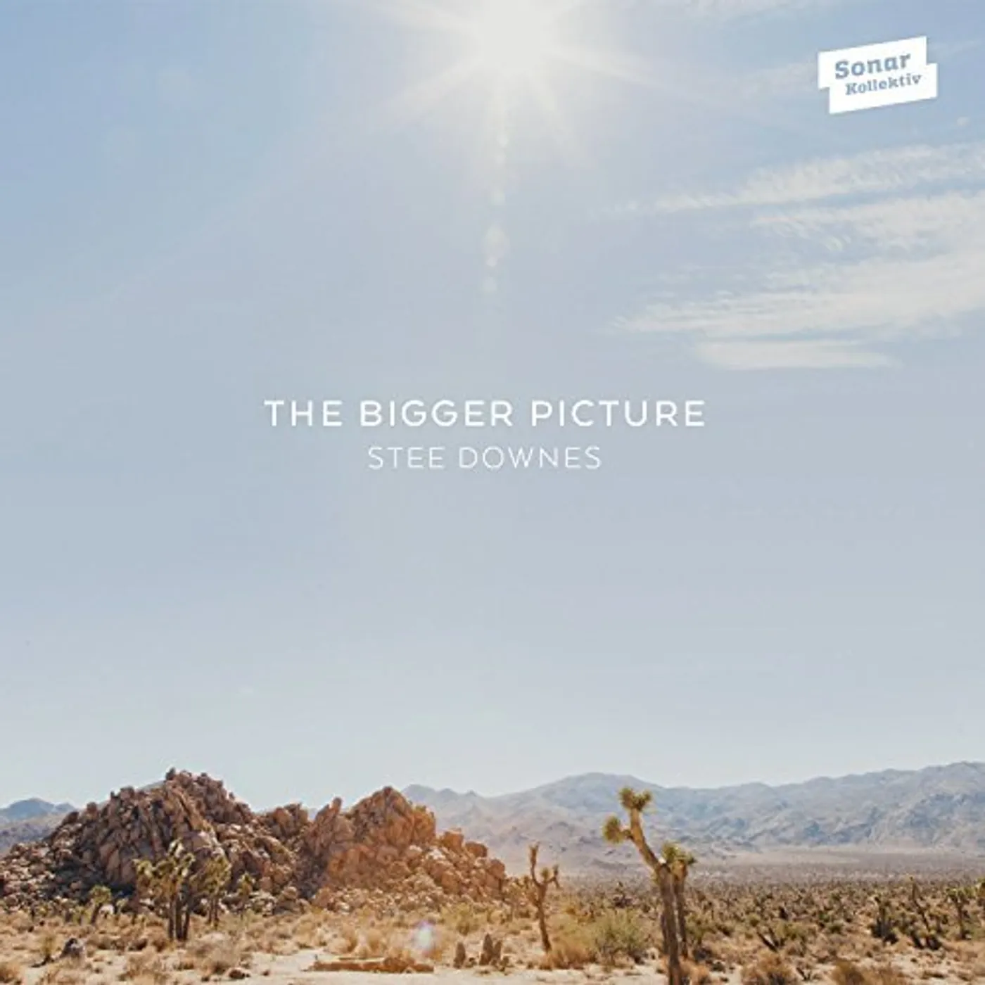Stee Downes BIGGER PICTURE CD