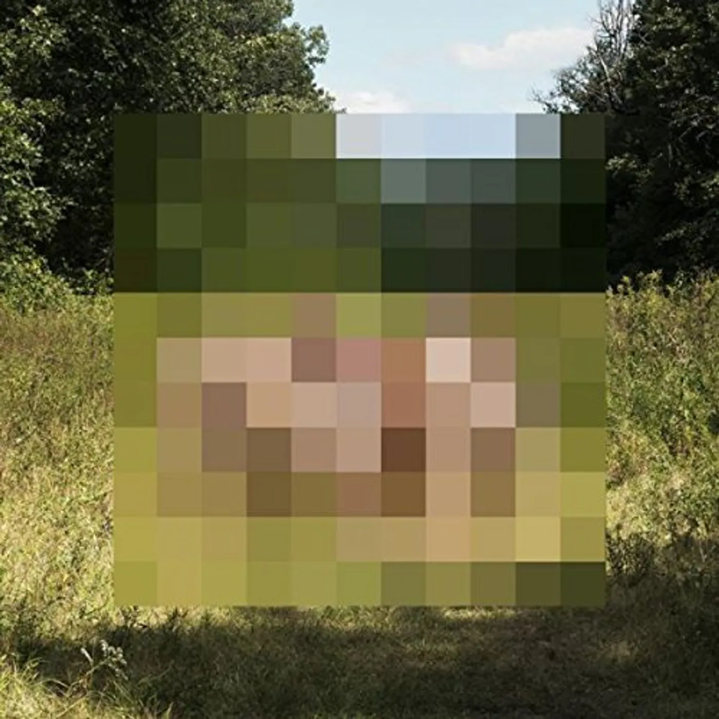 The Hotelier Goodness Vinyl Record