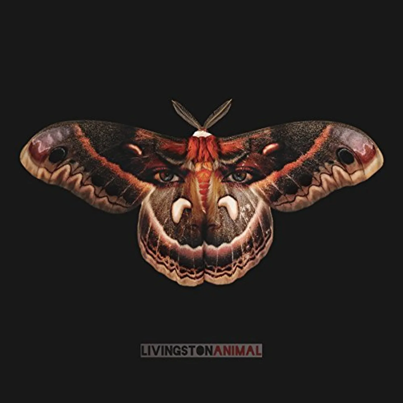 Livingston Animal Vinyl Record