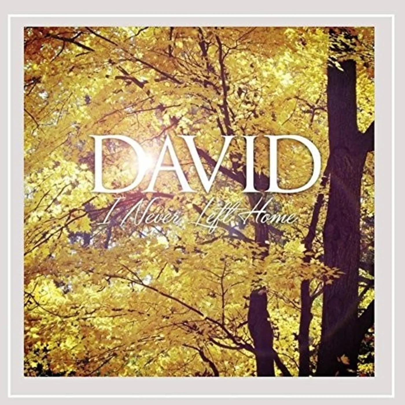 David I NEVER LEFT HOME CD