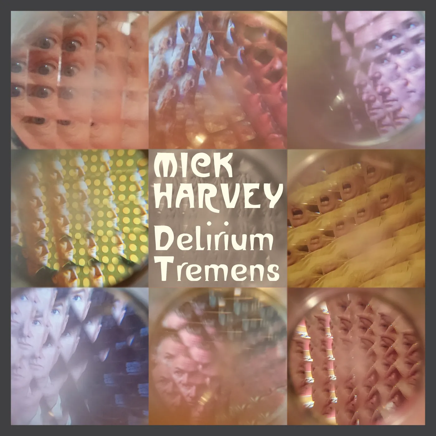 Mick Harvey DELIRIUM TREMENS CD
