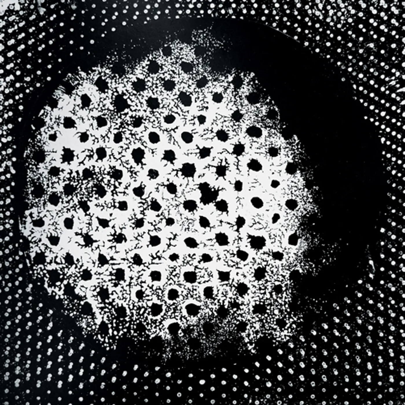 Biosphere Patashnik Vinyl Record