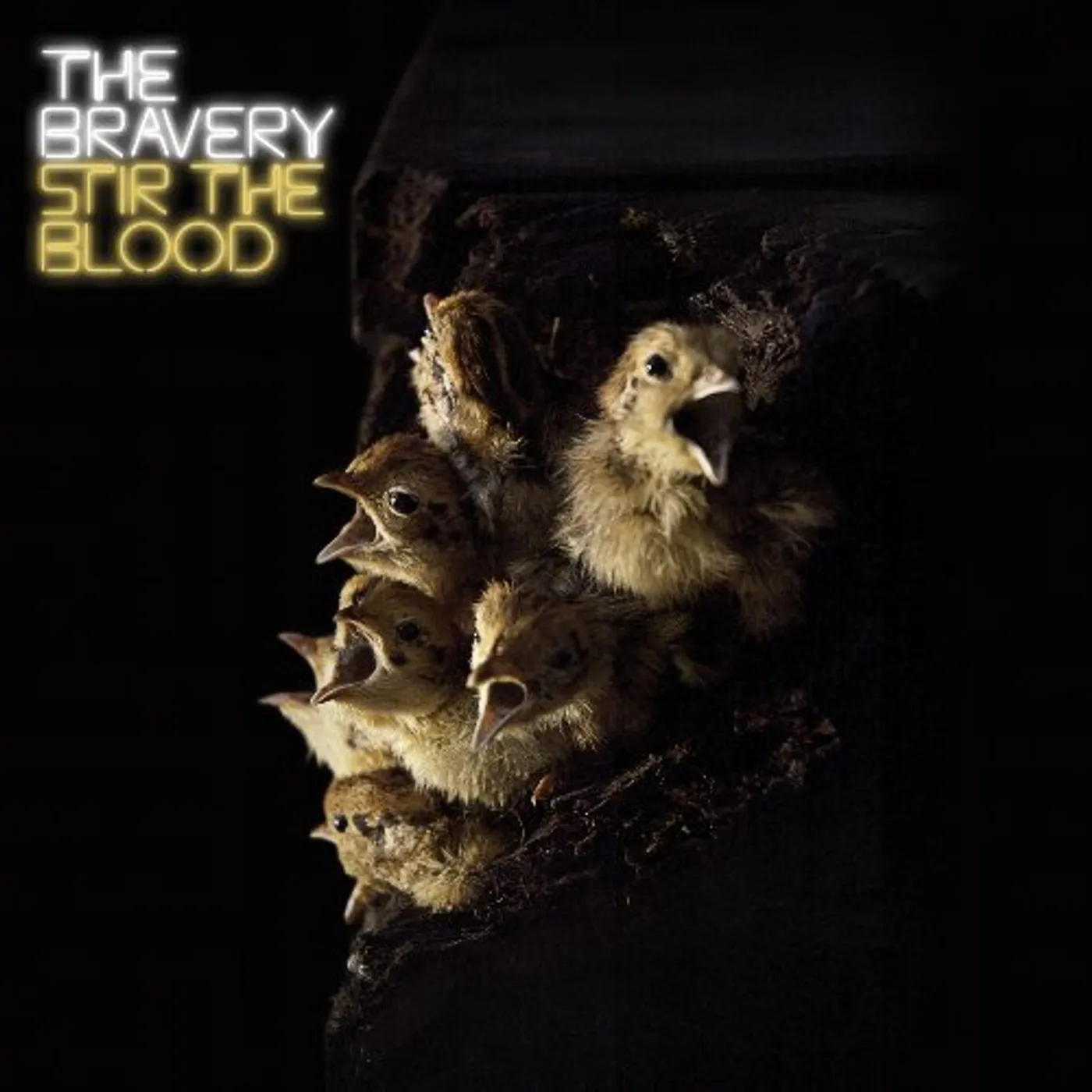 The Bravery Stir The Blood Vinyl Record