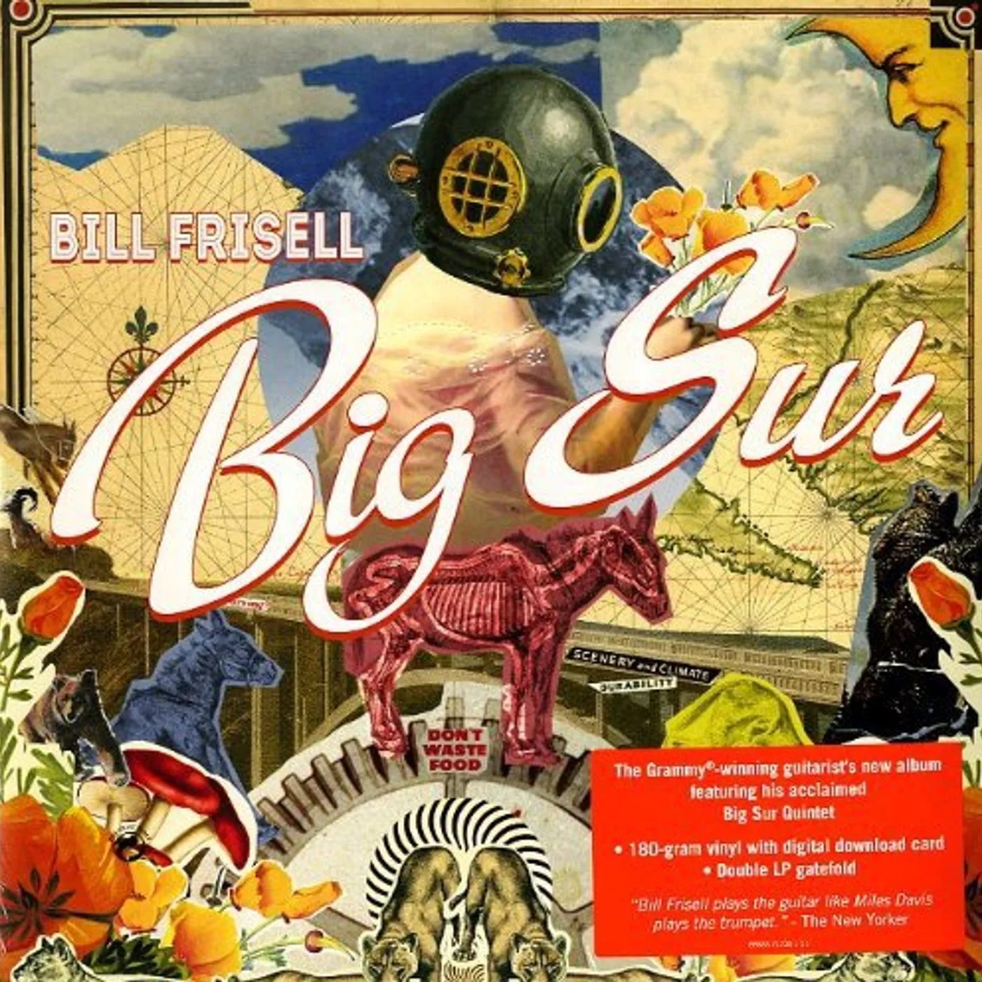 Bill Frisell Big Sur Vinyl Record