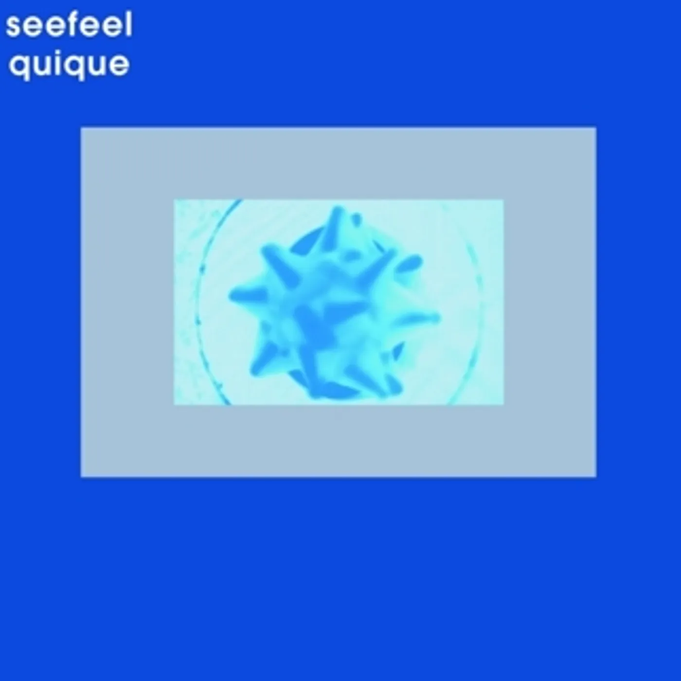 Seefeel QUIQUE Vinyl Record - Canada Release