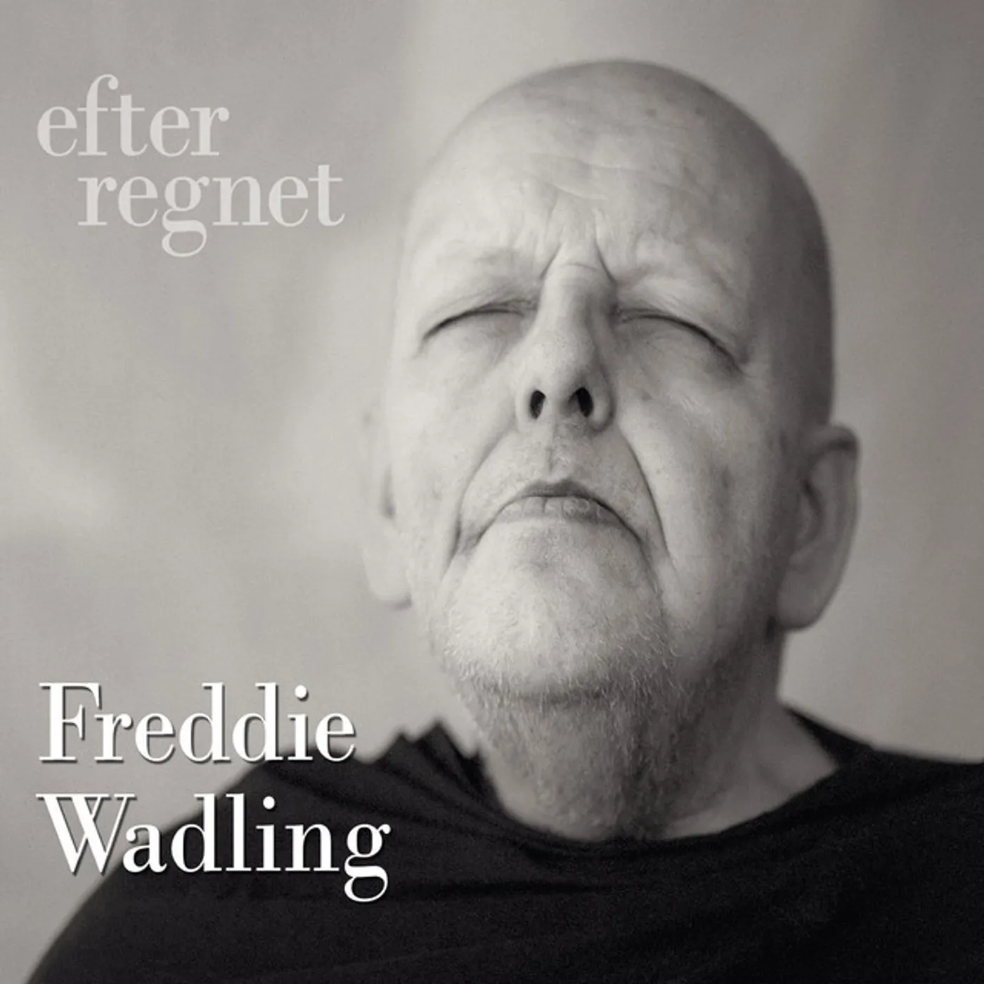 Freddie Wadling EFTER REGENT Vinyl Record