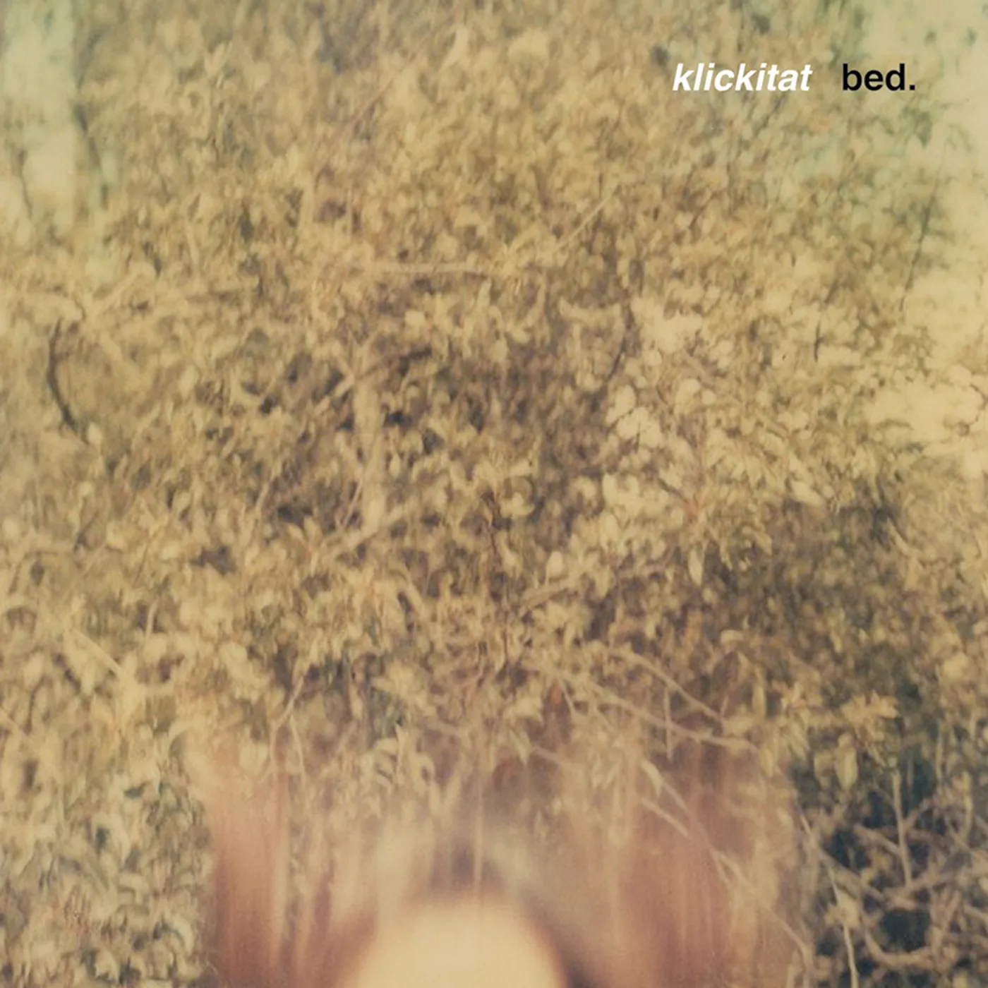bed. klickitat Vinyl Record