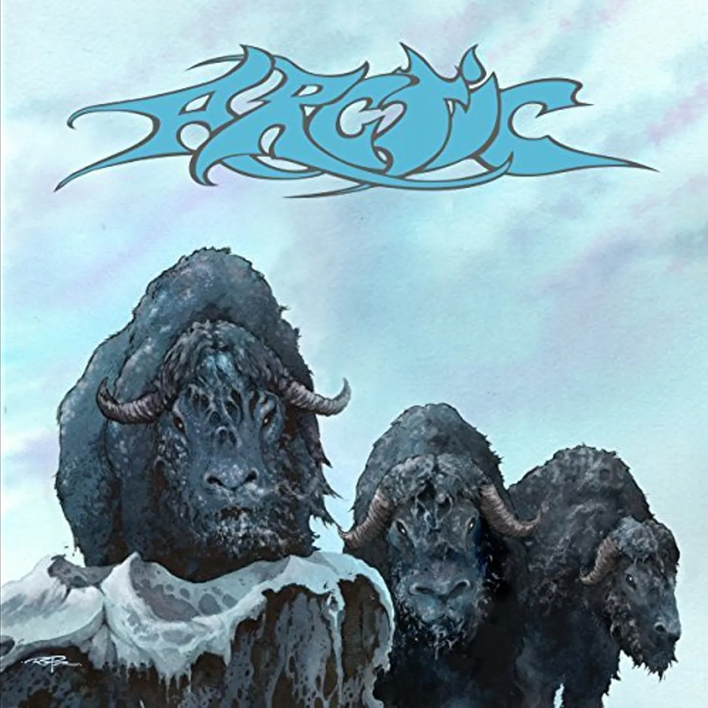 ARCTIC Vinyl Record