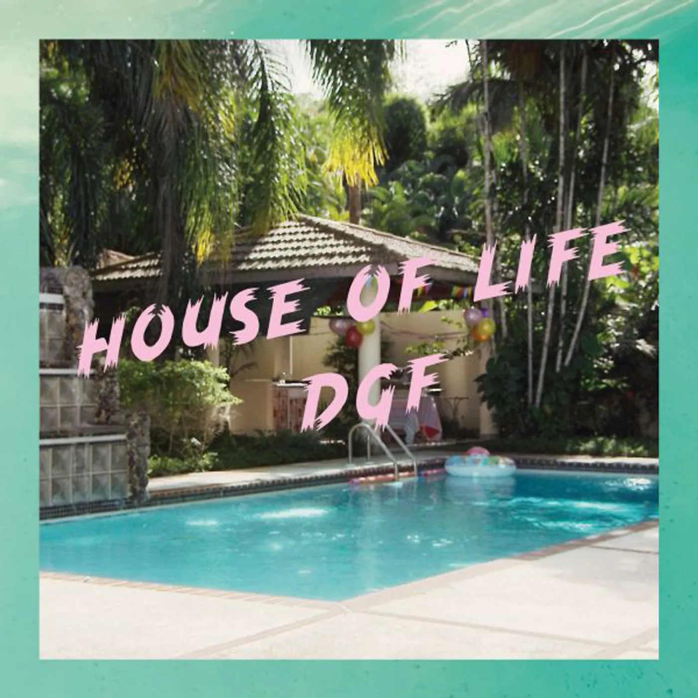 House Of Life 131: DGF HANS WITH NO PANTS / GREIF MEINE HAND Vinyl Record