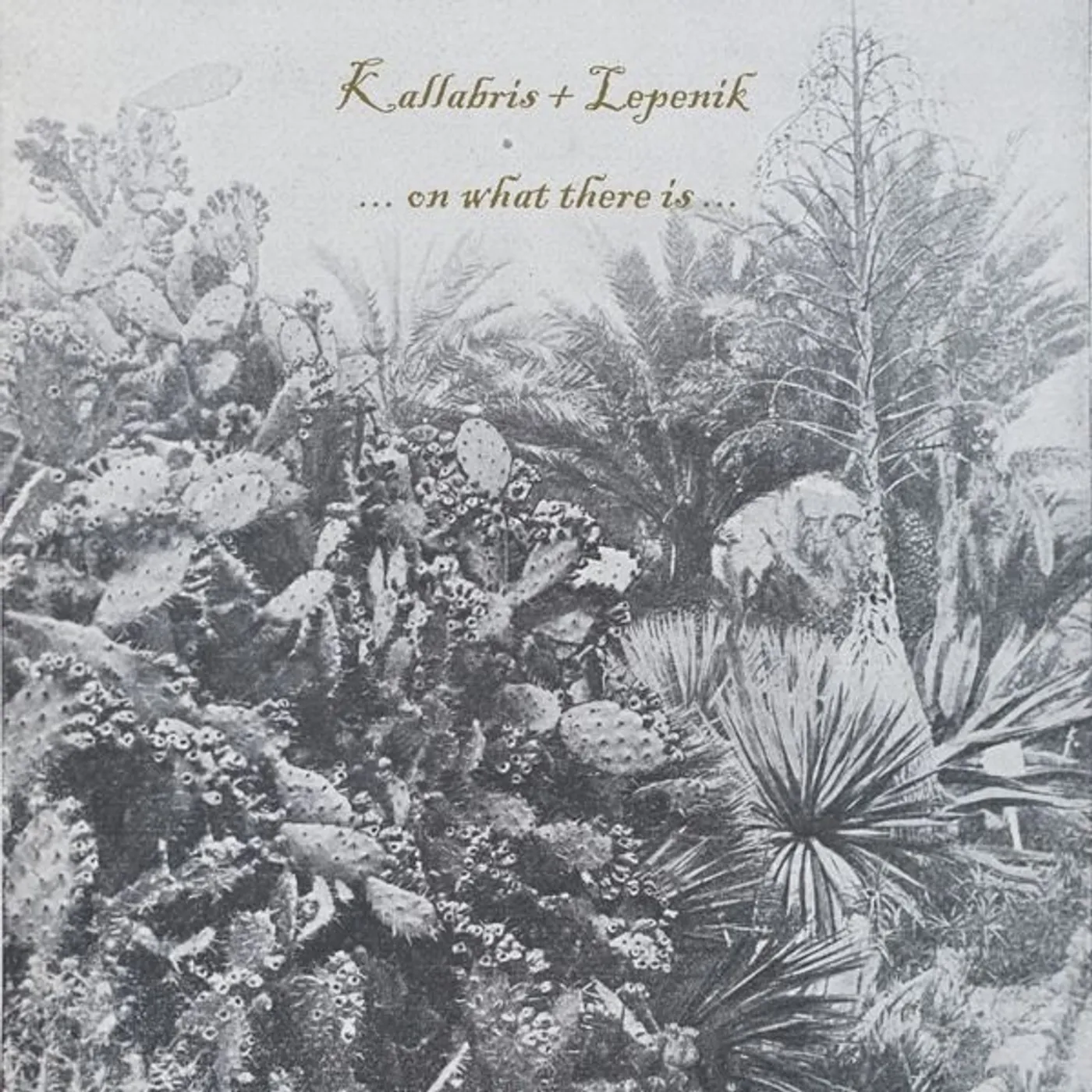KALLABRIS + LEPENIK ON WHAT THERE IS Vinyl Record