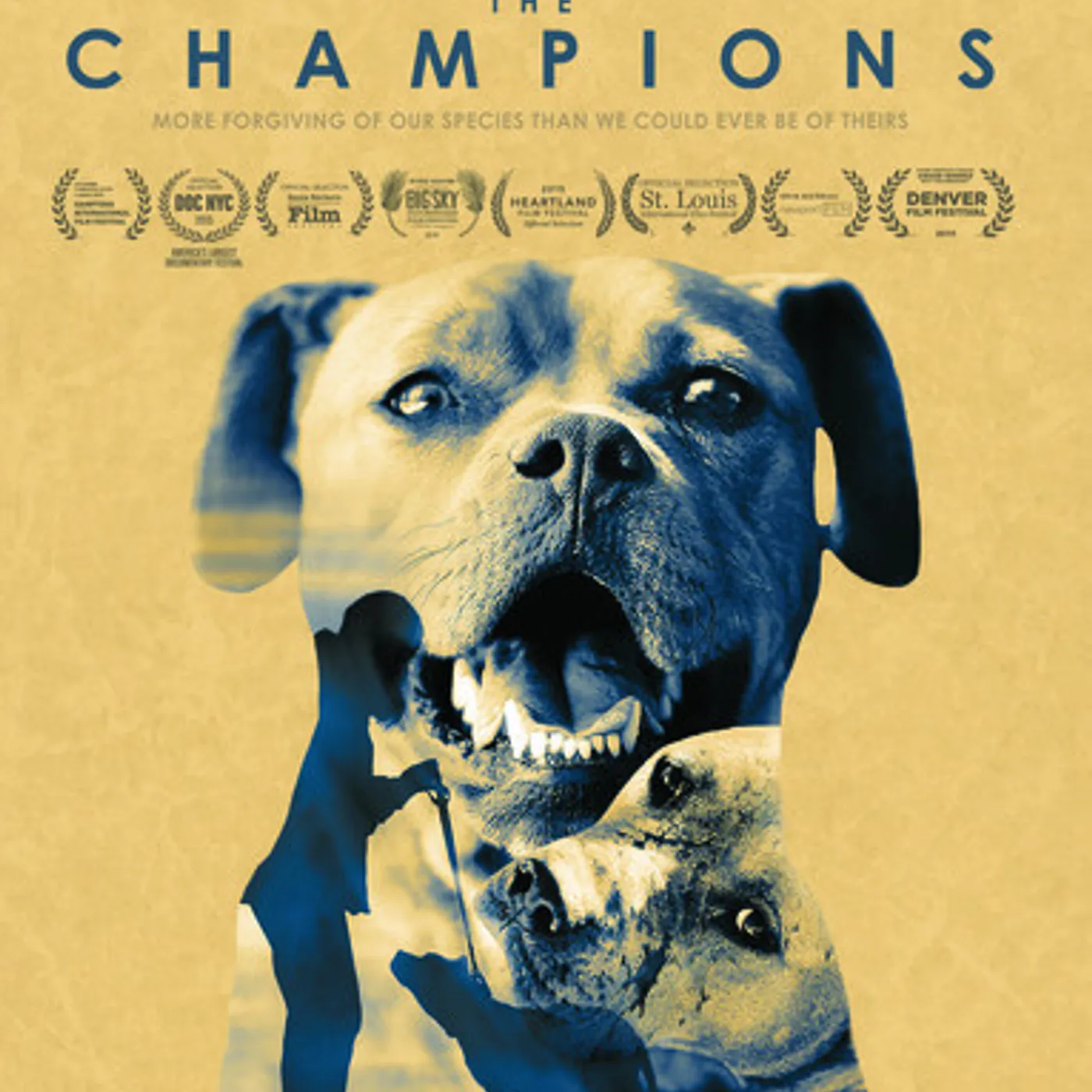 CHAMPIONS Blu-ray